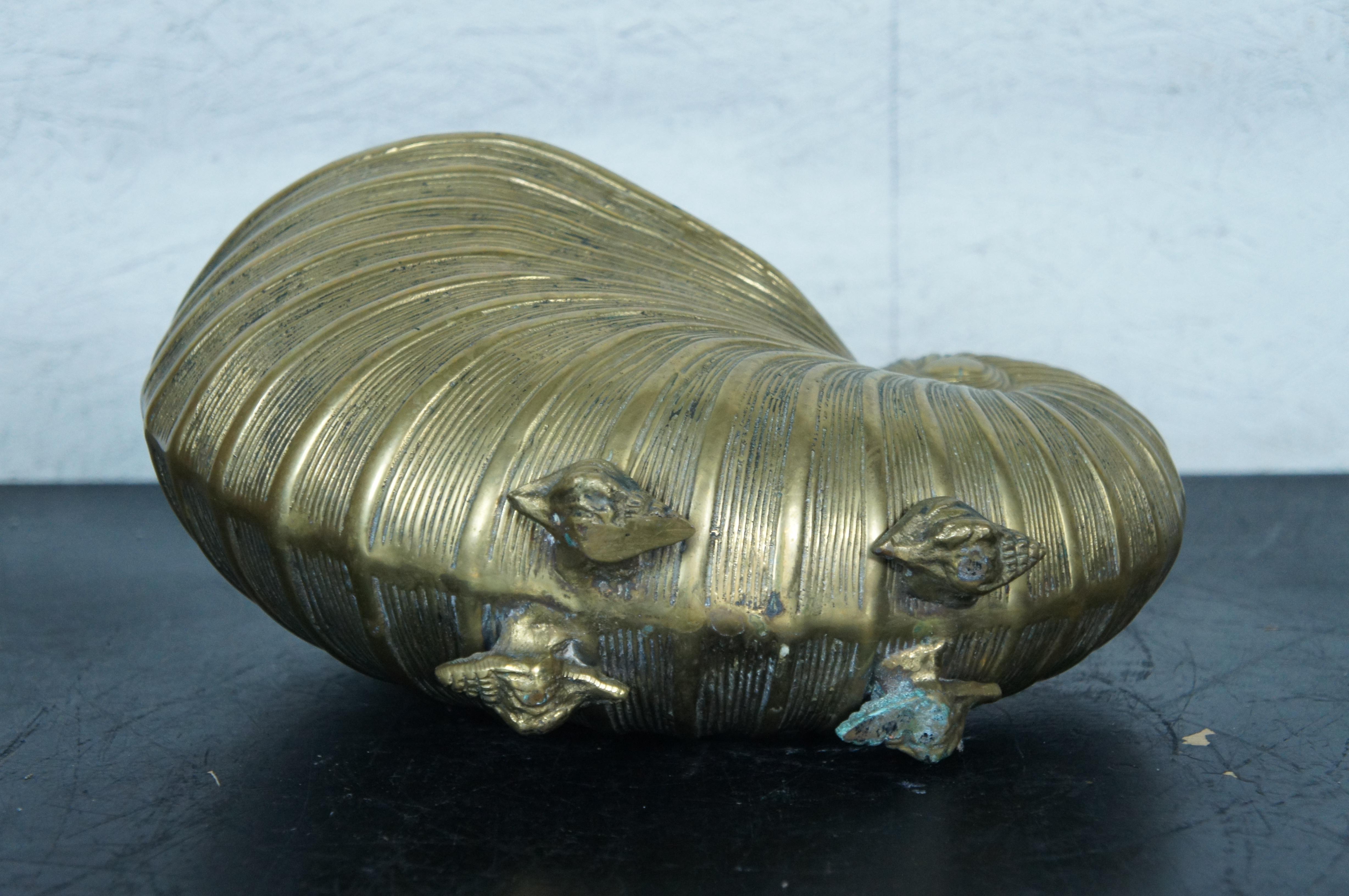 Compote jardinière de centre de table en laiton Nautilus Sea Shell de 12 pouces en vente 2