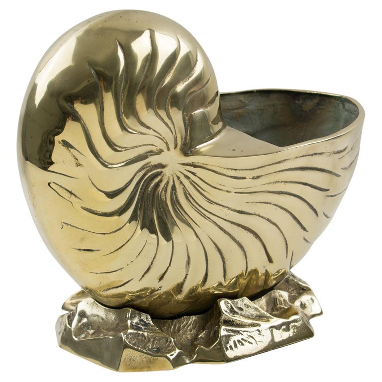 Sea Shell Wine Rack Brass Nautilus Sea Shell Wine Cooler Bottle Holder Vase Planter ...