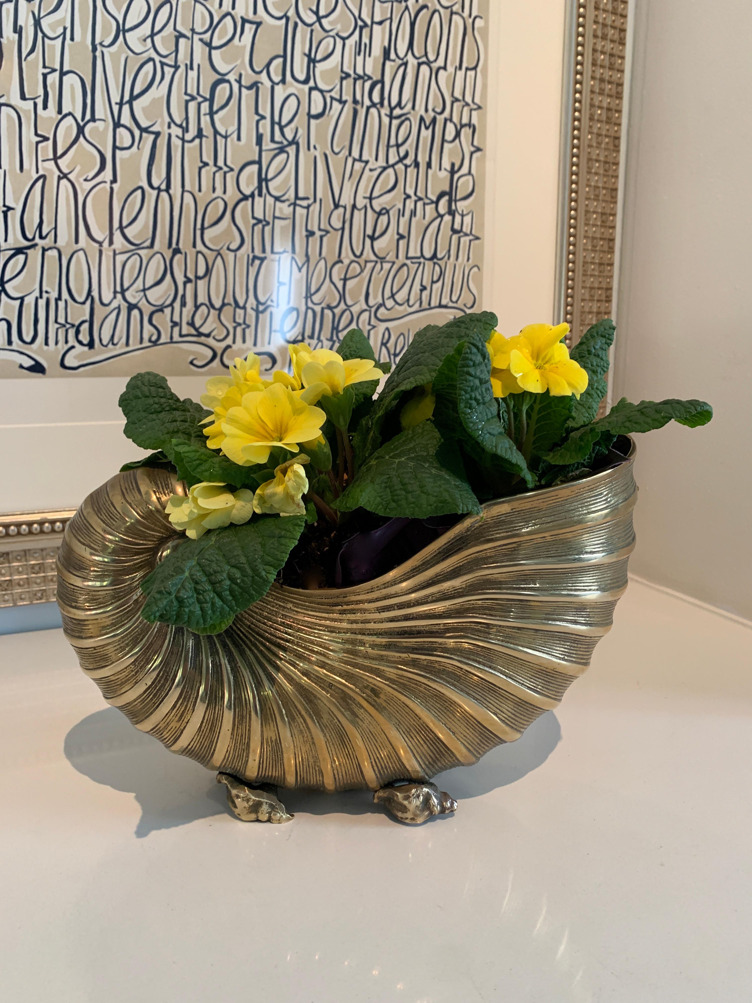 20th Century Brass Nautilus Shell Planter Cachepot with Shell Feet Details