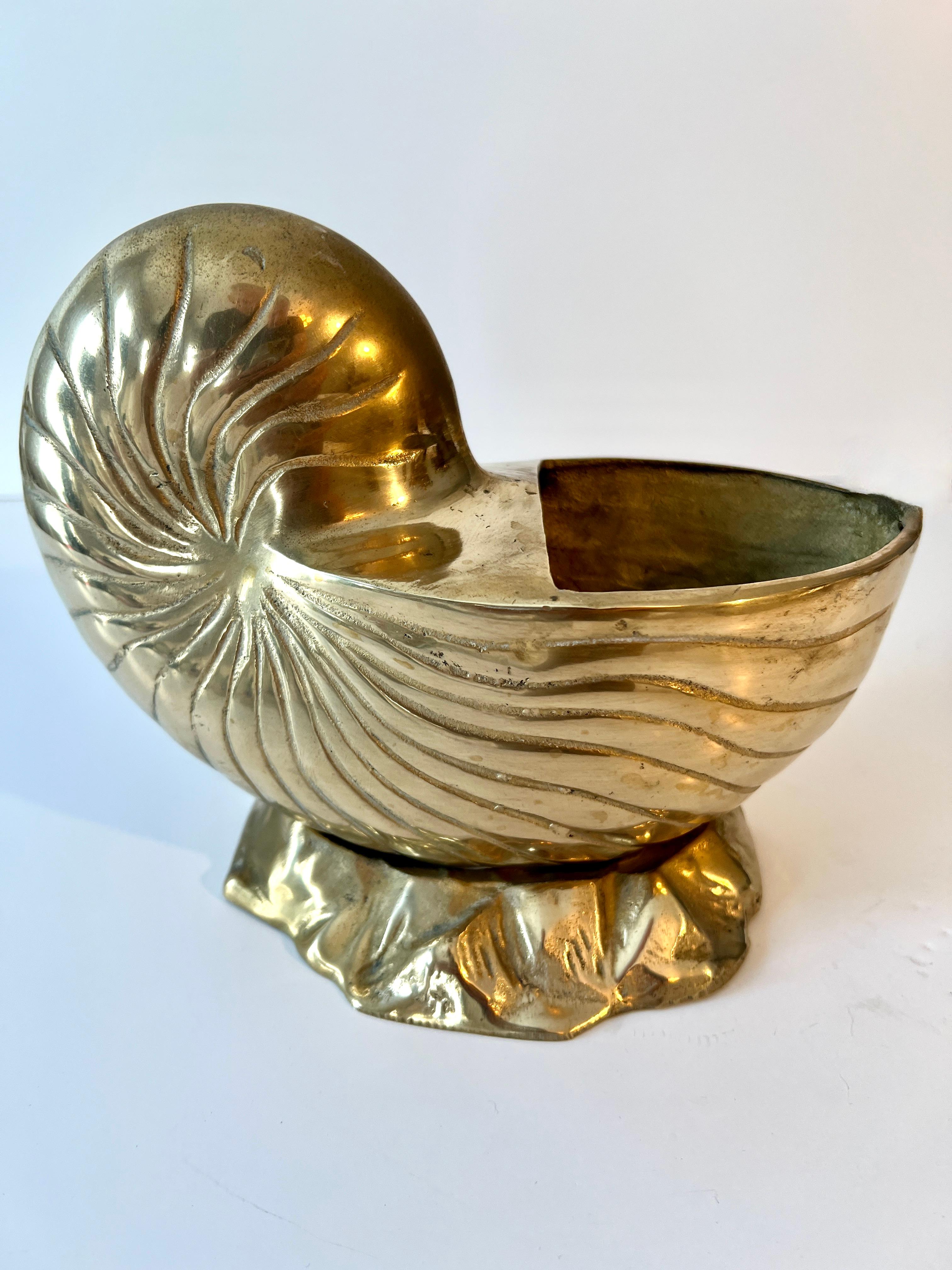Messing Nautilus Shell Pflanzer oder Jardiniere im Angebot 1