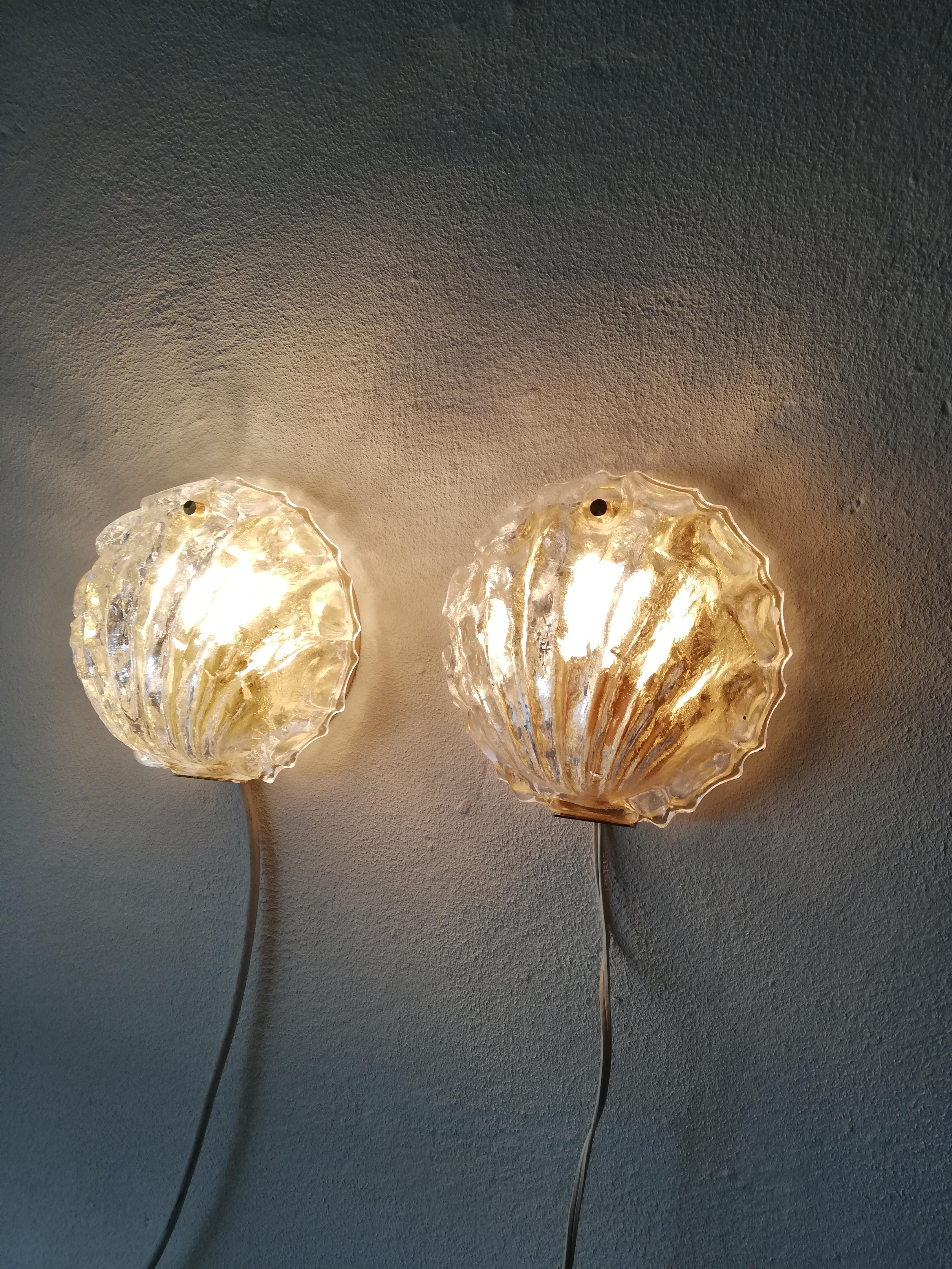 Brass Pair of Shell Shaped Limburg Sconces with Murano Glasses, Germany, 1960s For Sale 3