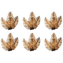Brass Palm Tree Sconces, Set of Six