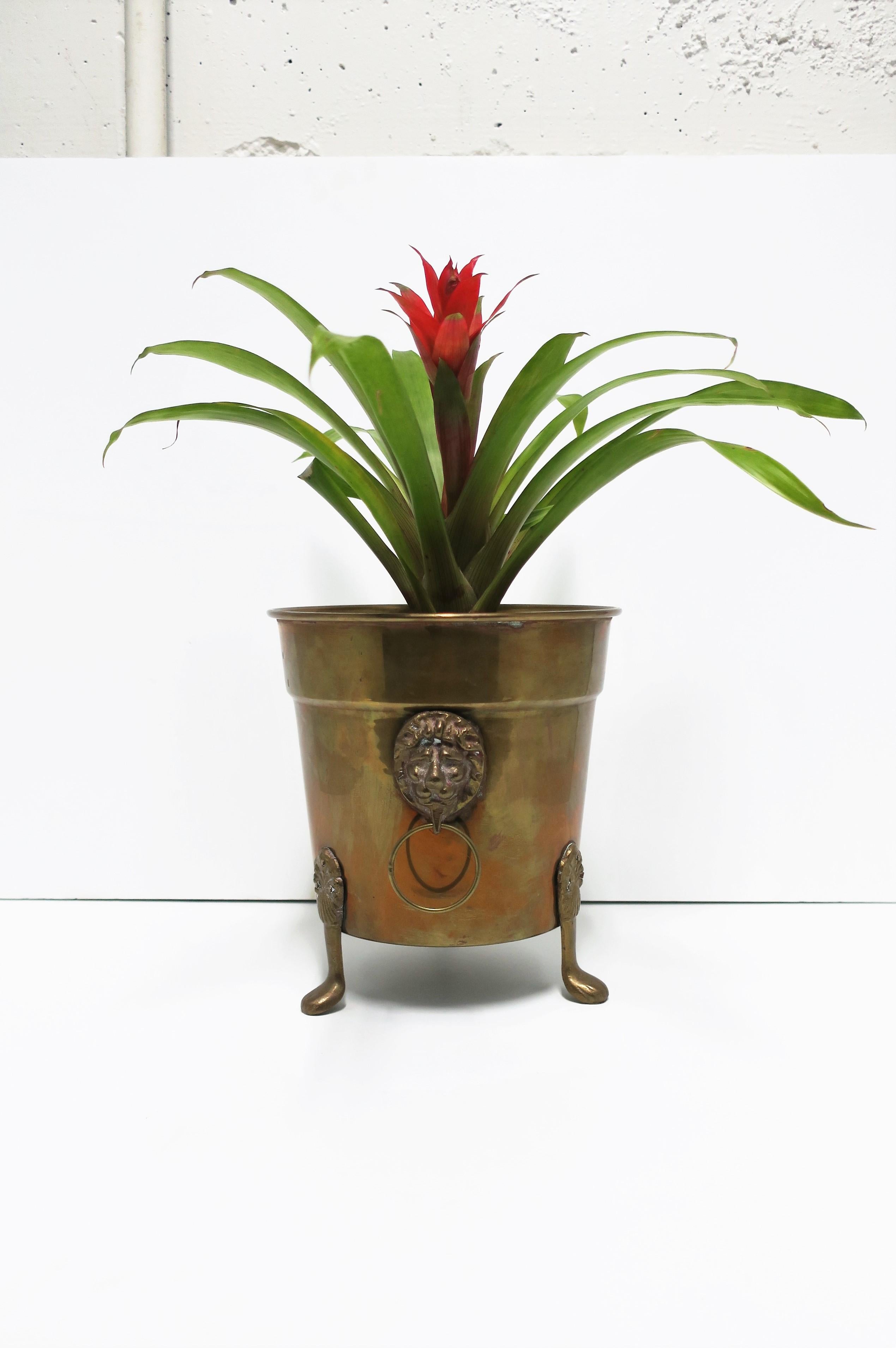 vintage brass plant pot