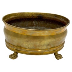 Brass Planter Flowerpot on Lion's Feet