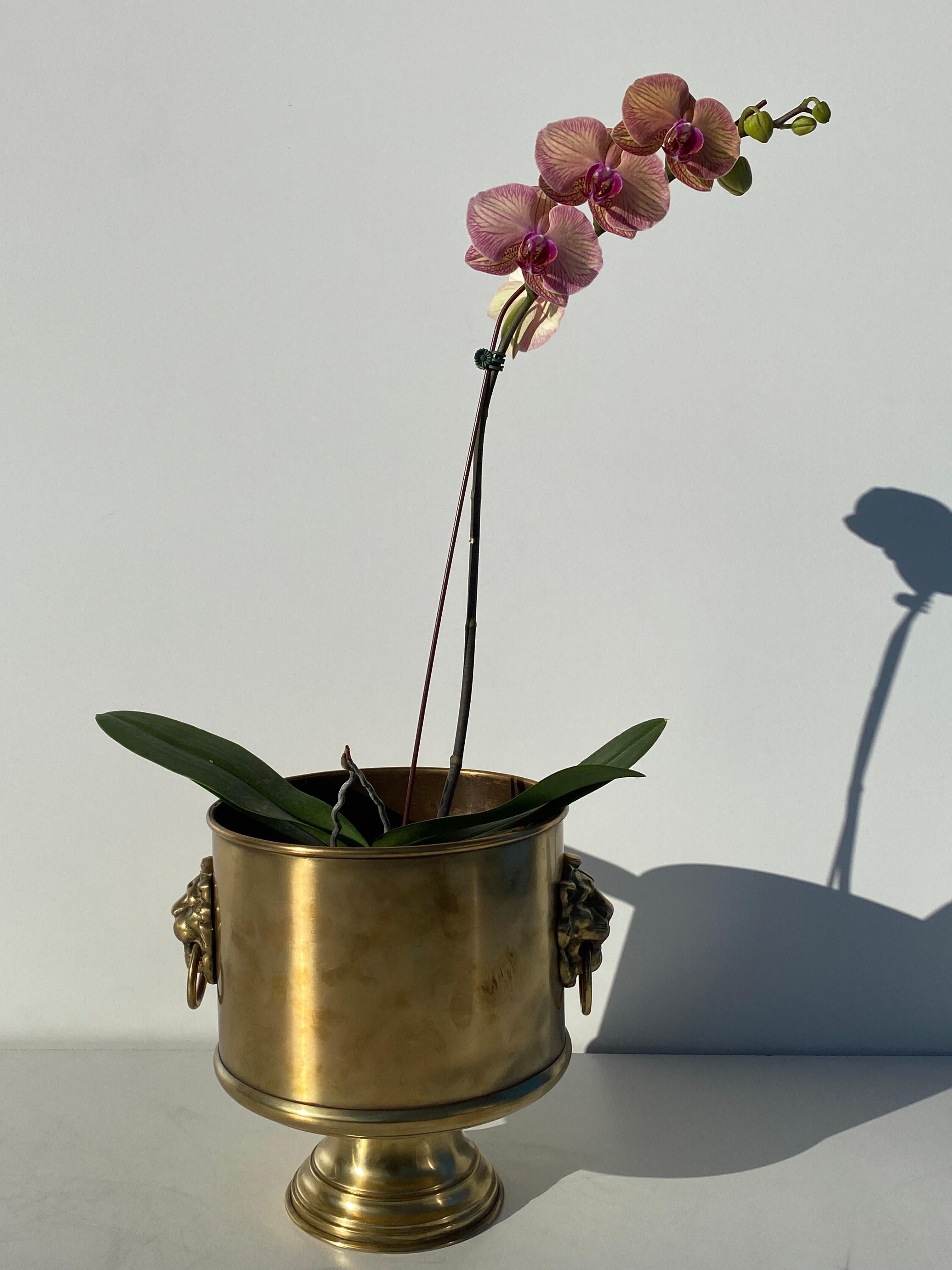 Brass Planter with Lion Morif For Sale 5