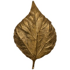 Brass 'Rabarbaro' Rhubarb Leaf Wall Lamp by Carlo Giorgi, 1970s, Tommaso Barbi