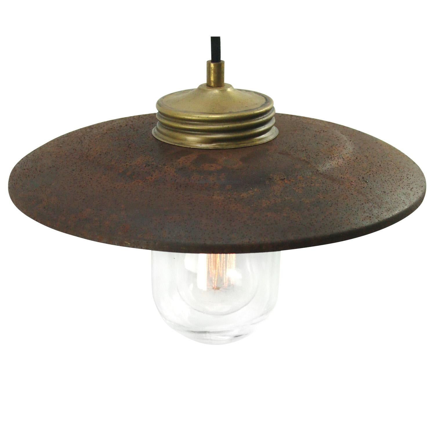Rust iron Industrial hanging lamp.
Clear glass with brass top.

Weight: 1.20 kg / 2.6 lb

Priced per individual item. All lamps have been made suitable by international standards for incandescent light bulbs, energy-efficient and LED bulbs.