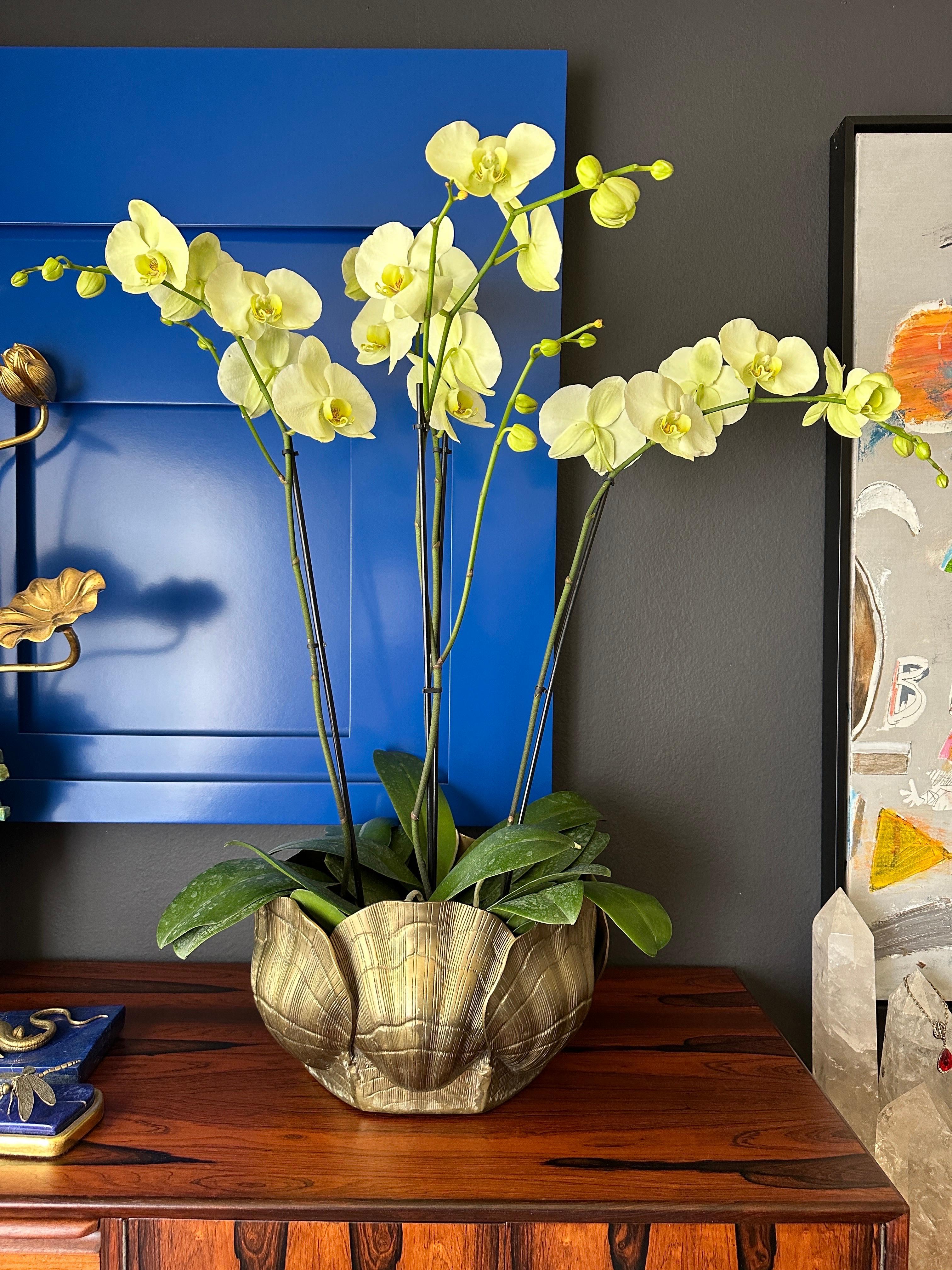 Patinated Brass Sea Shell Oval Planter