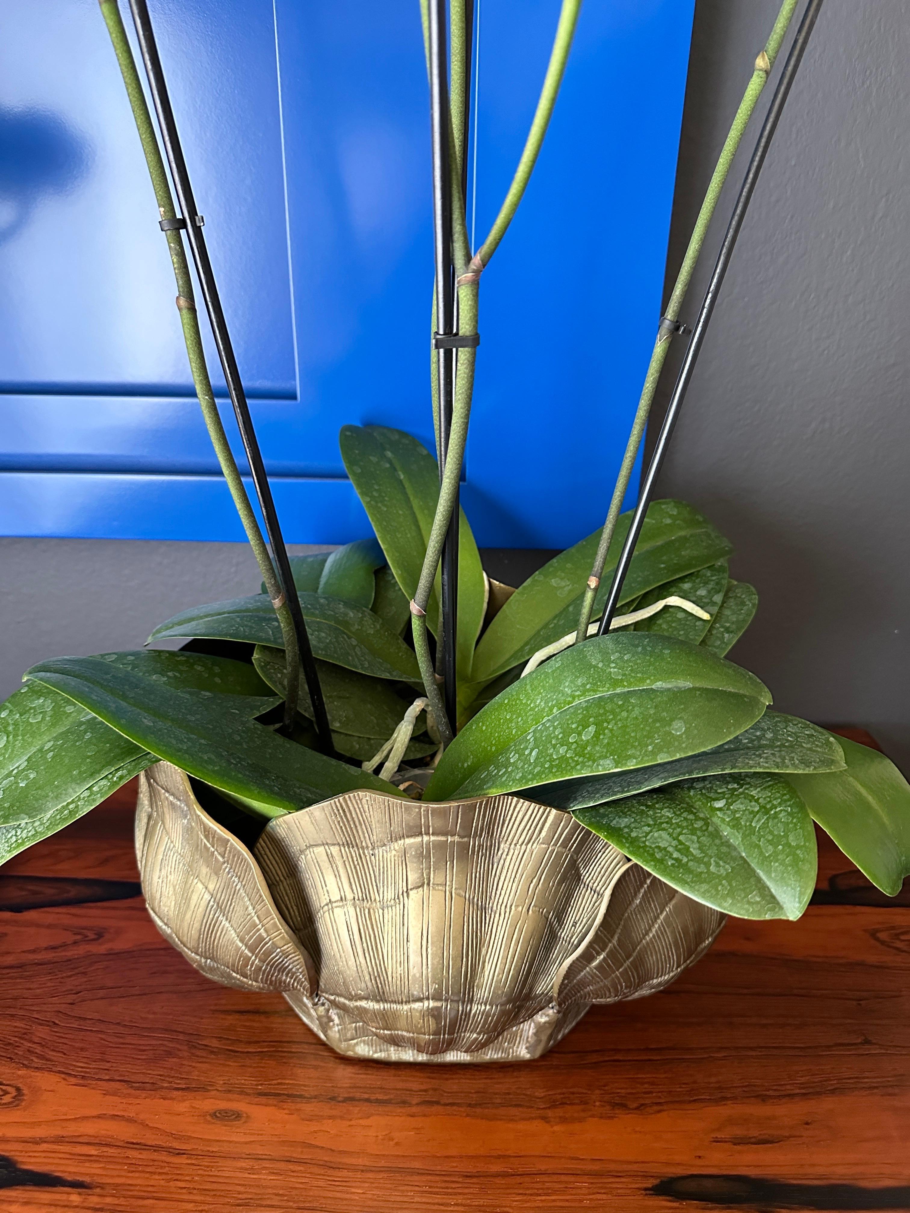 Late 20th Century Brass Sea Shell Oval Planter