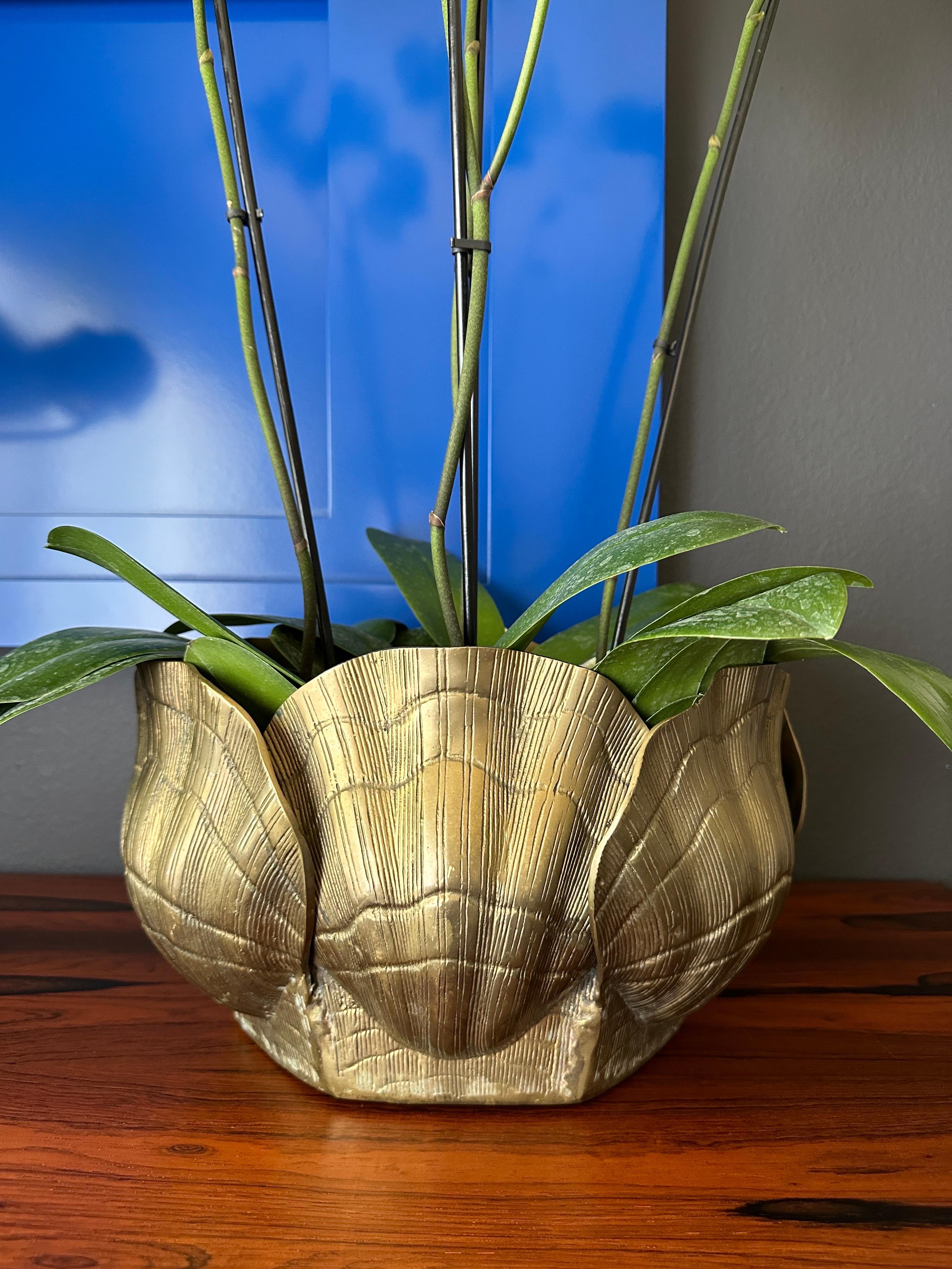 Brass Sea Shell Oval Planter 1