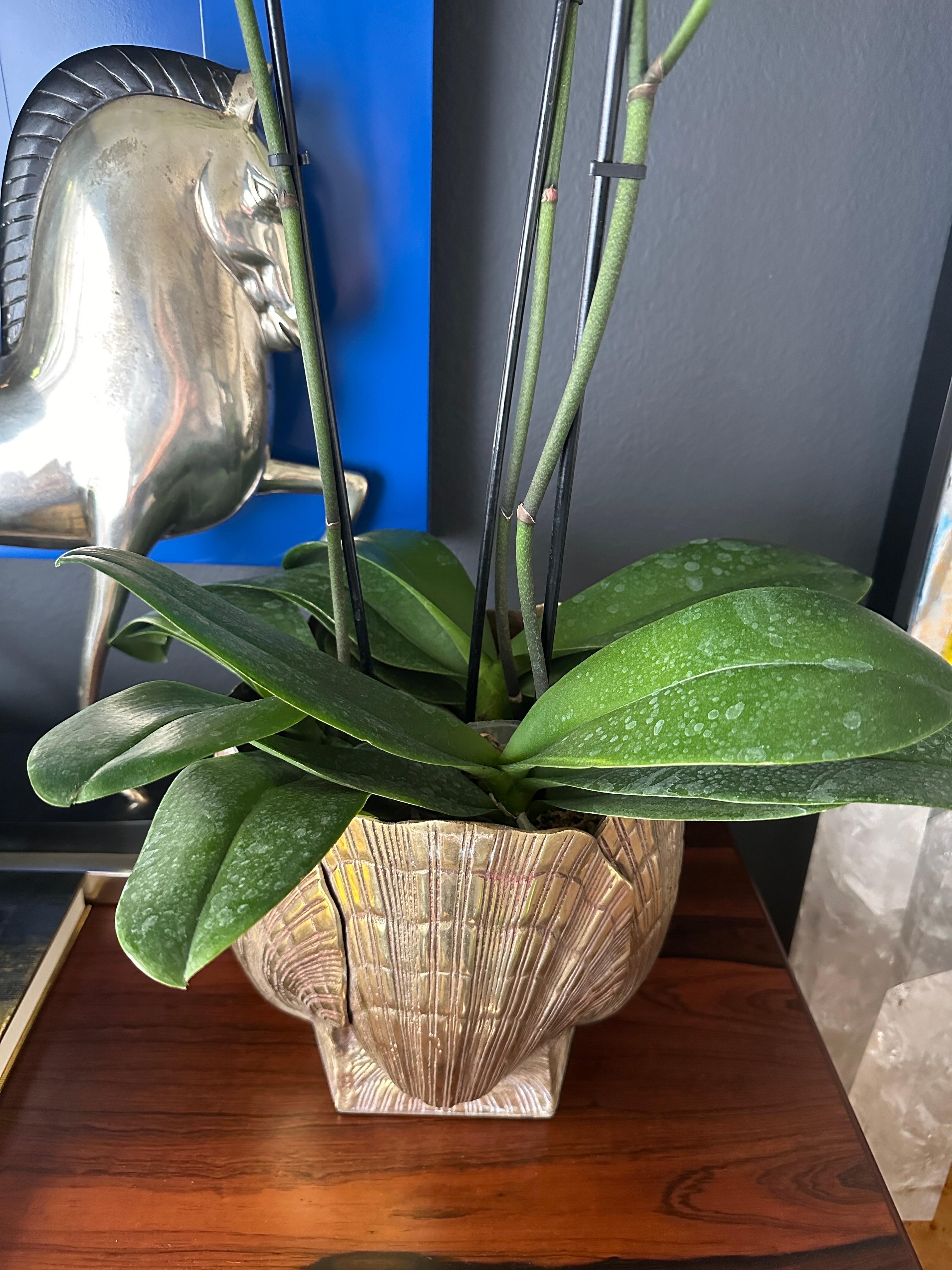 Brass Sea Shell Planter 4