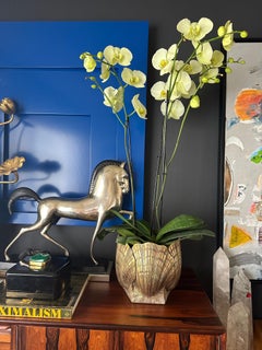 Brass Sea Shell Planter