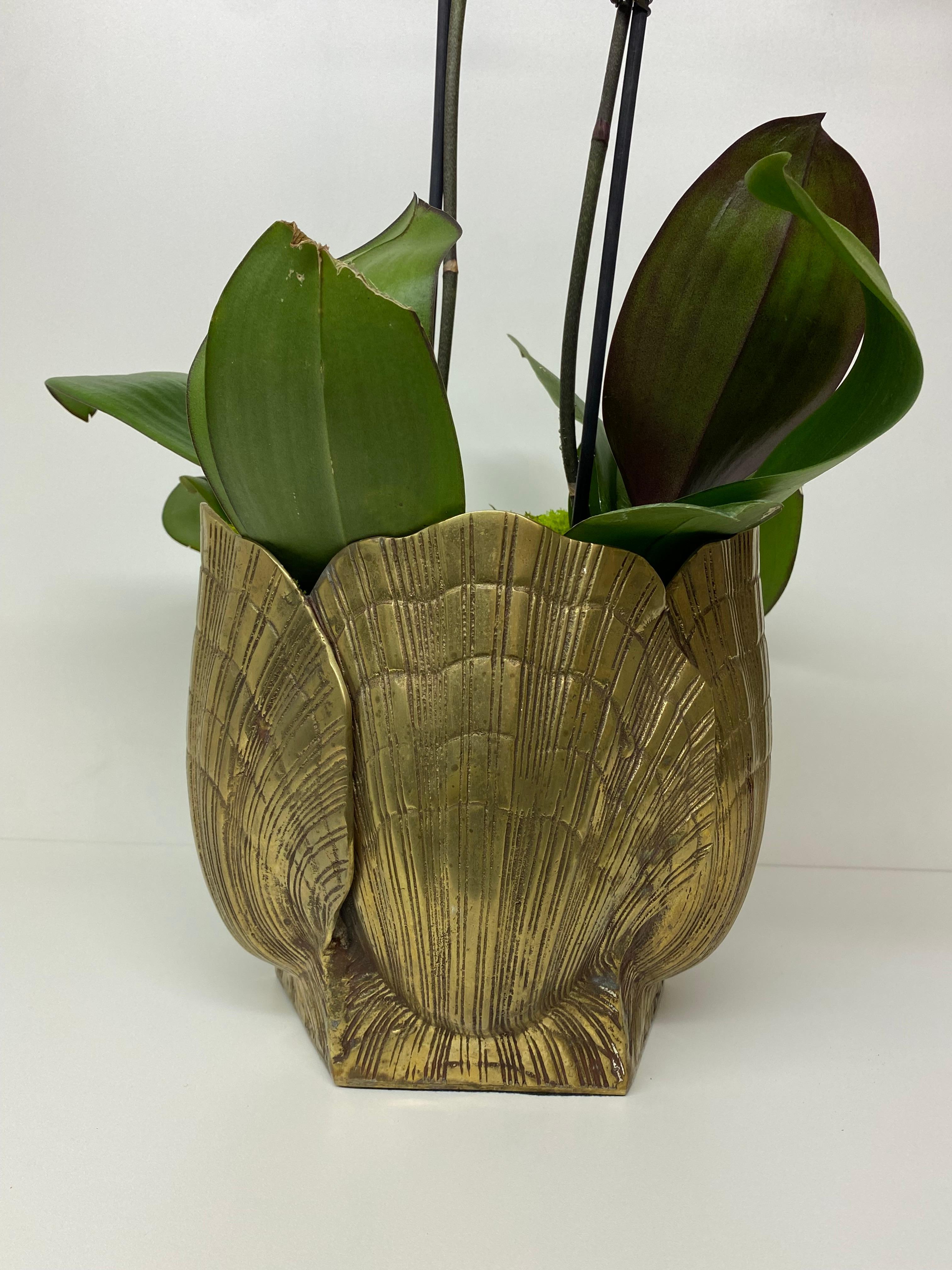 Brass Sea Shell Planter 2