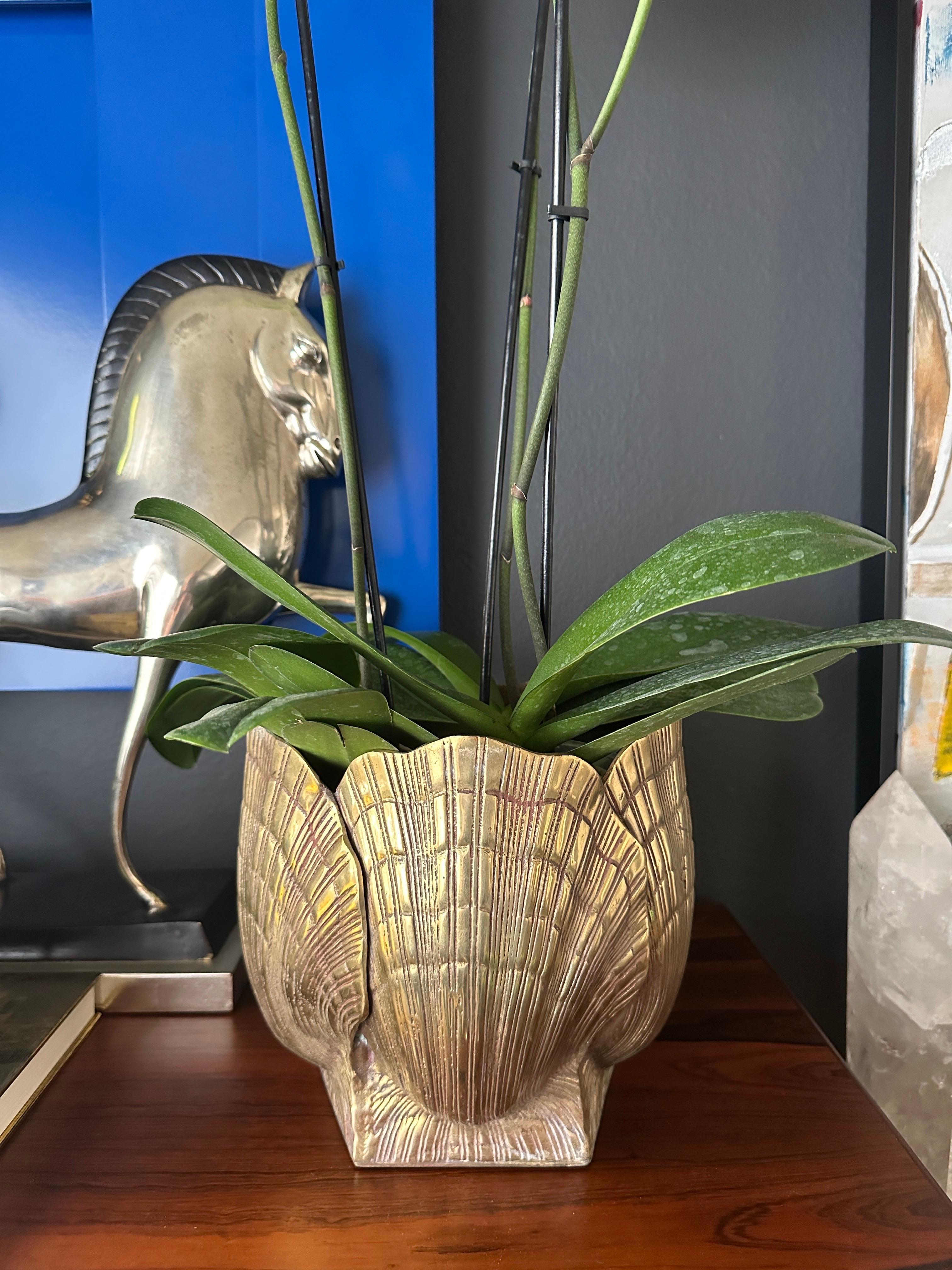 Brass Sea Shell Planter 2