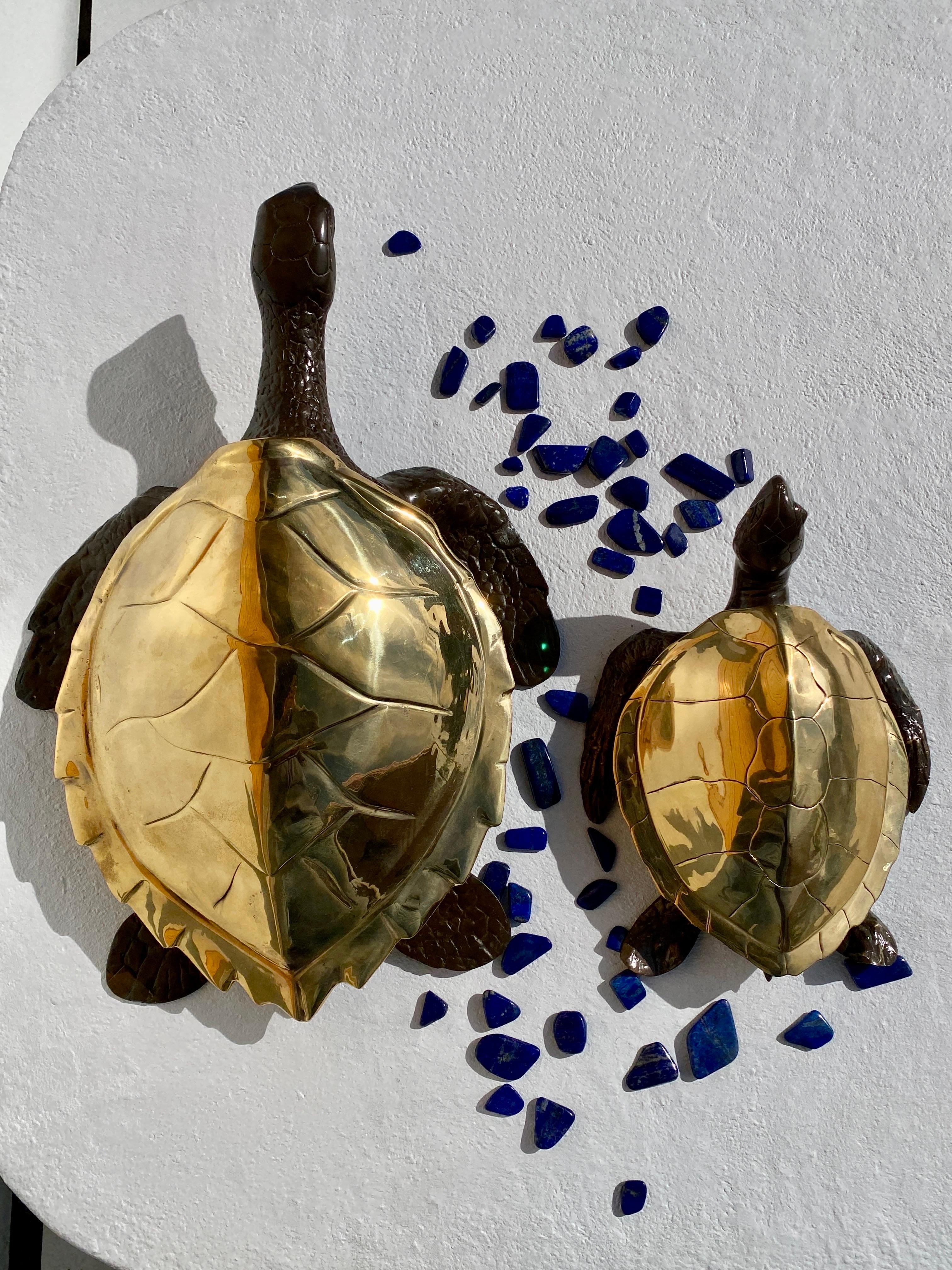 Brass Sea Turtle Sculpture / Box  For Sale 7