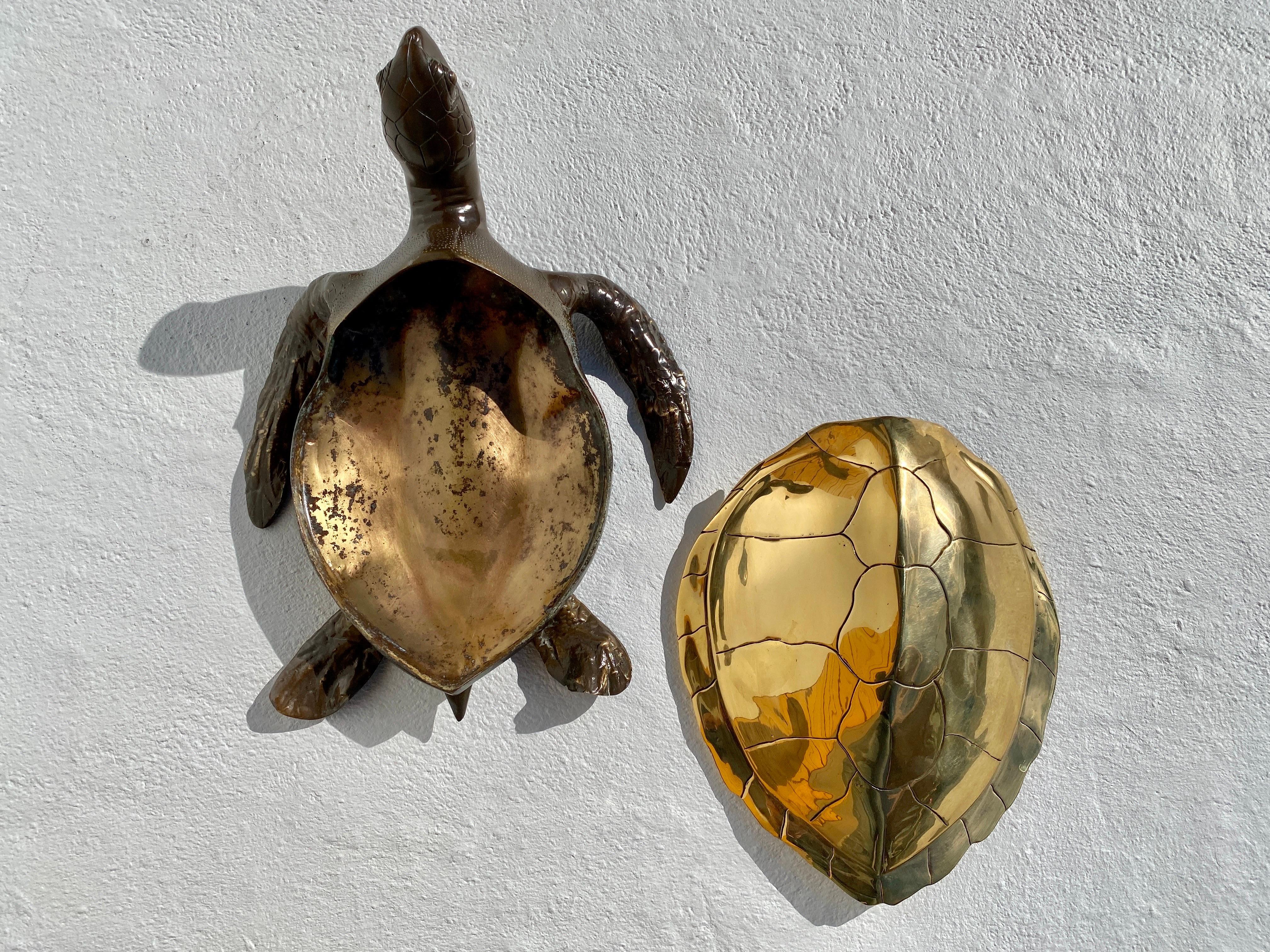 Late 20th Century Brass Sea Turtle Sculpture / Box 
