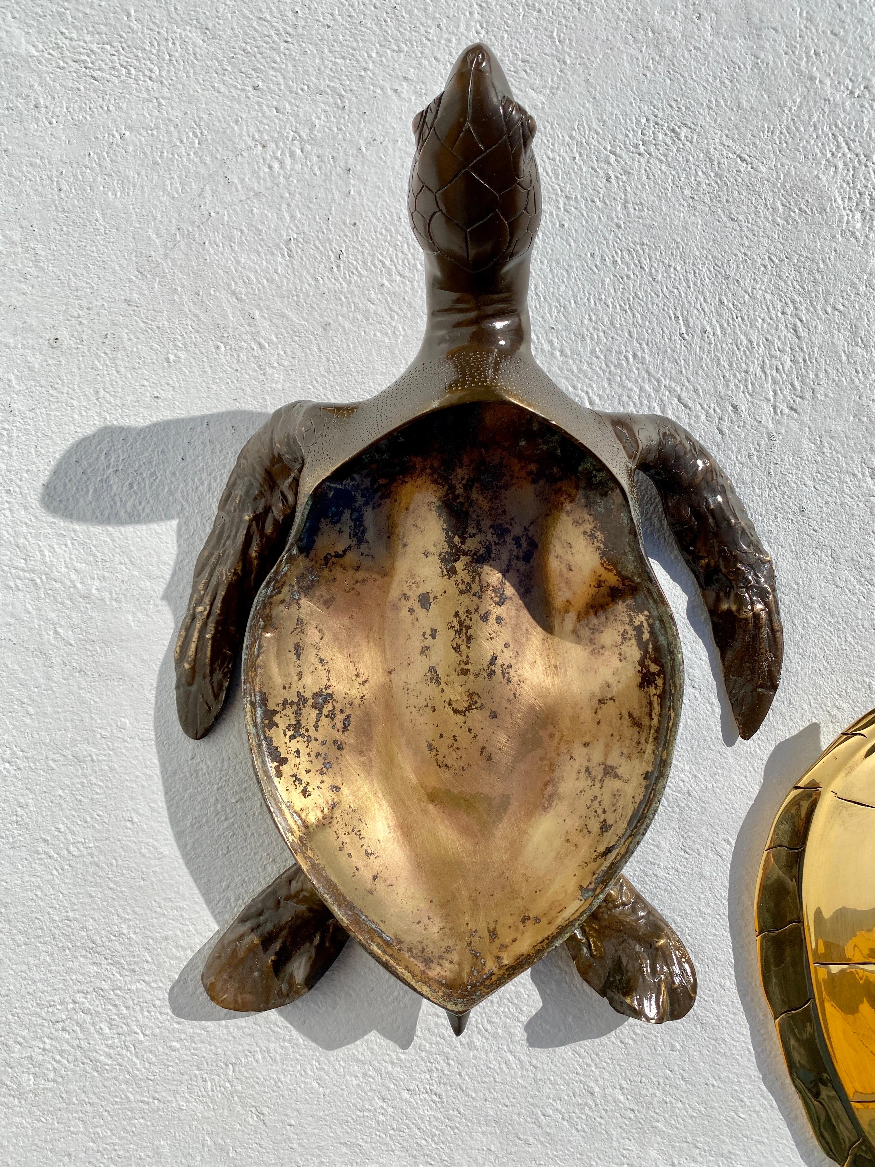 Brass Sea Turtle Sculpture / Box  For Sale 1