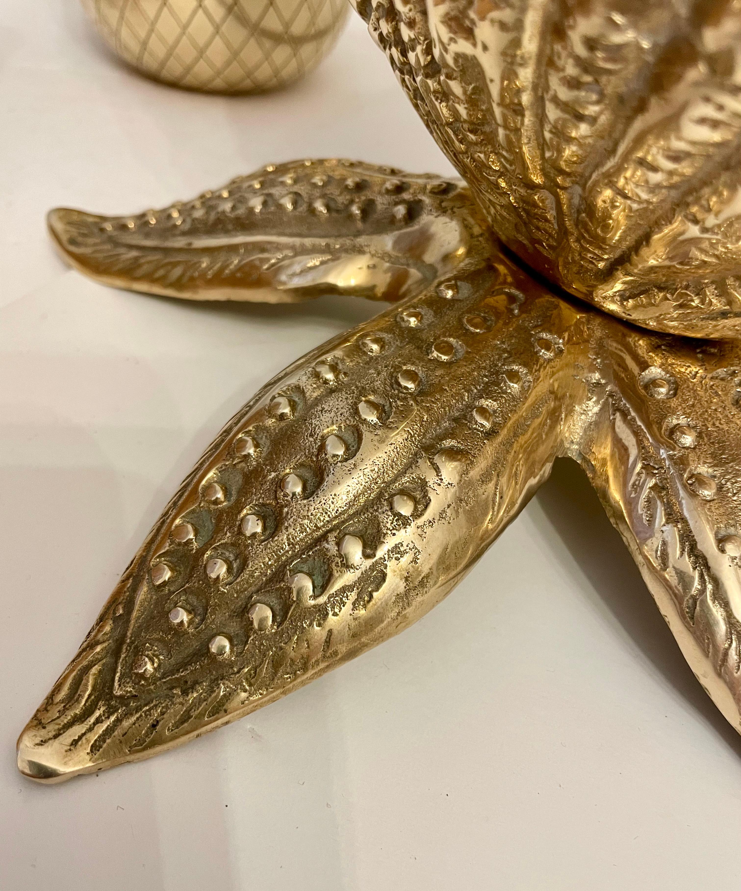 Coreano Fioriera Nautilus in ottone con conchiglia su base a stella marina in vendita
