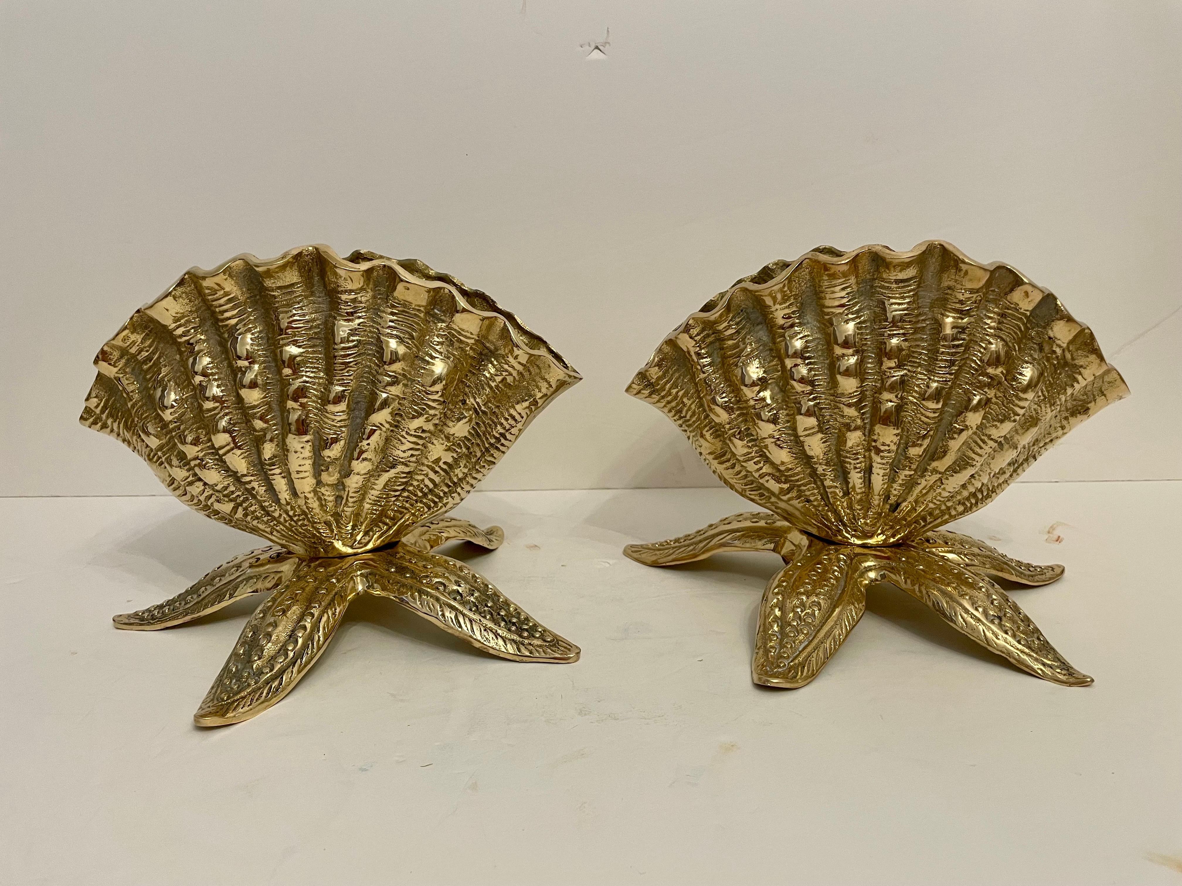 Brass Seashell Nautilus Planter on Starfish Base 2