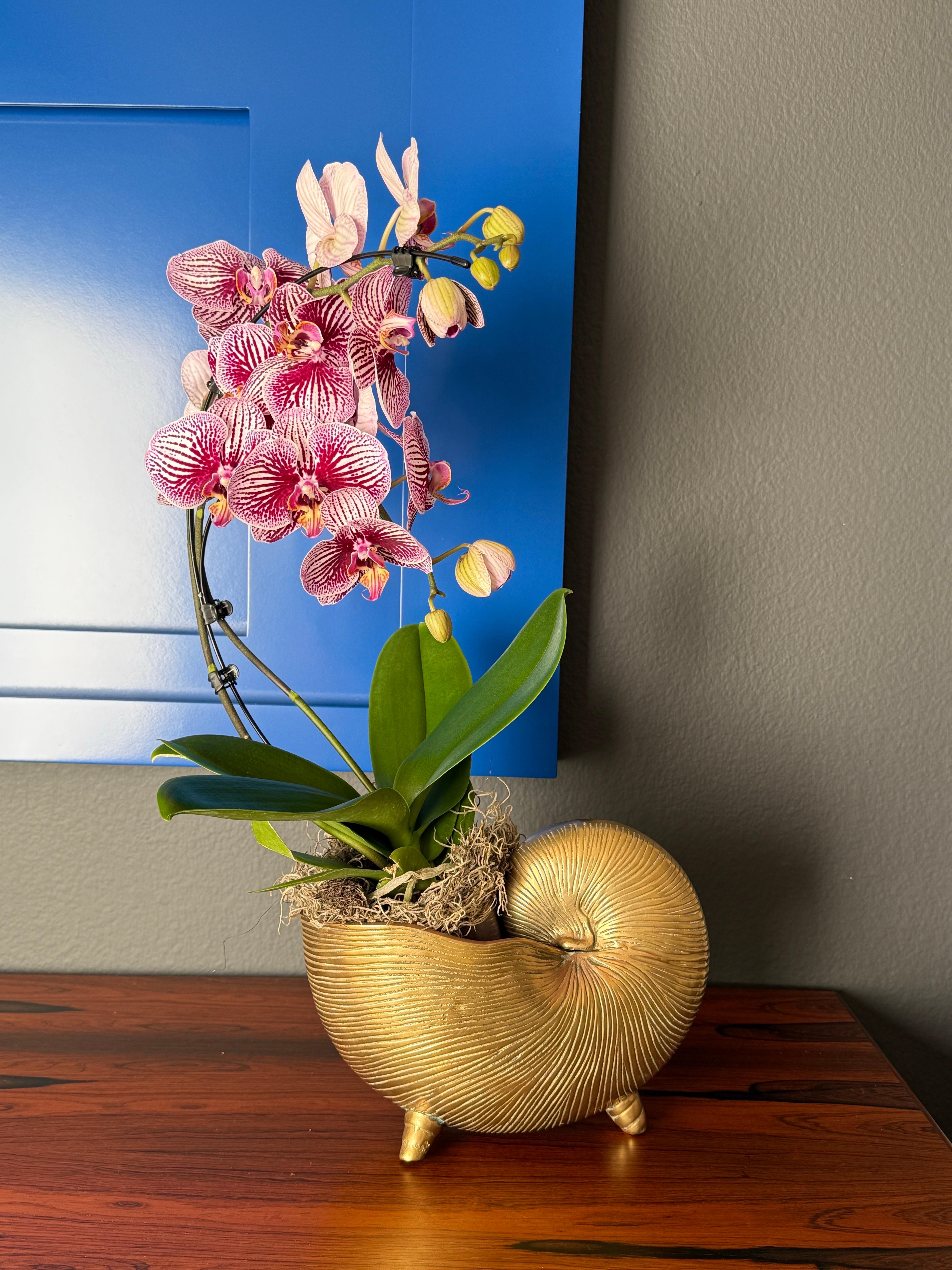 Brass Shell Conch Planter For Sale 5
