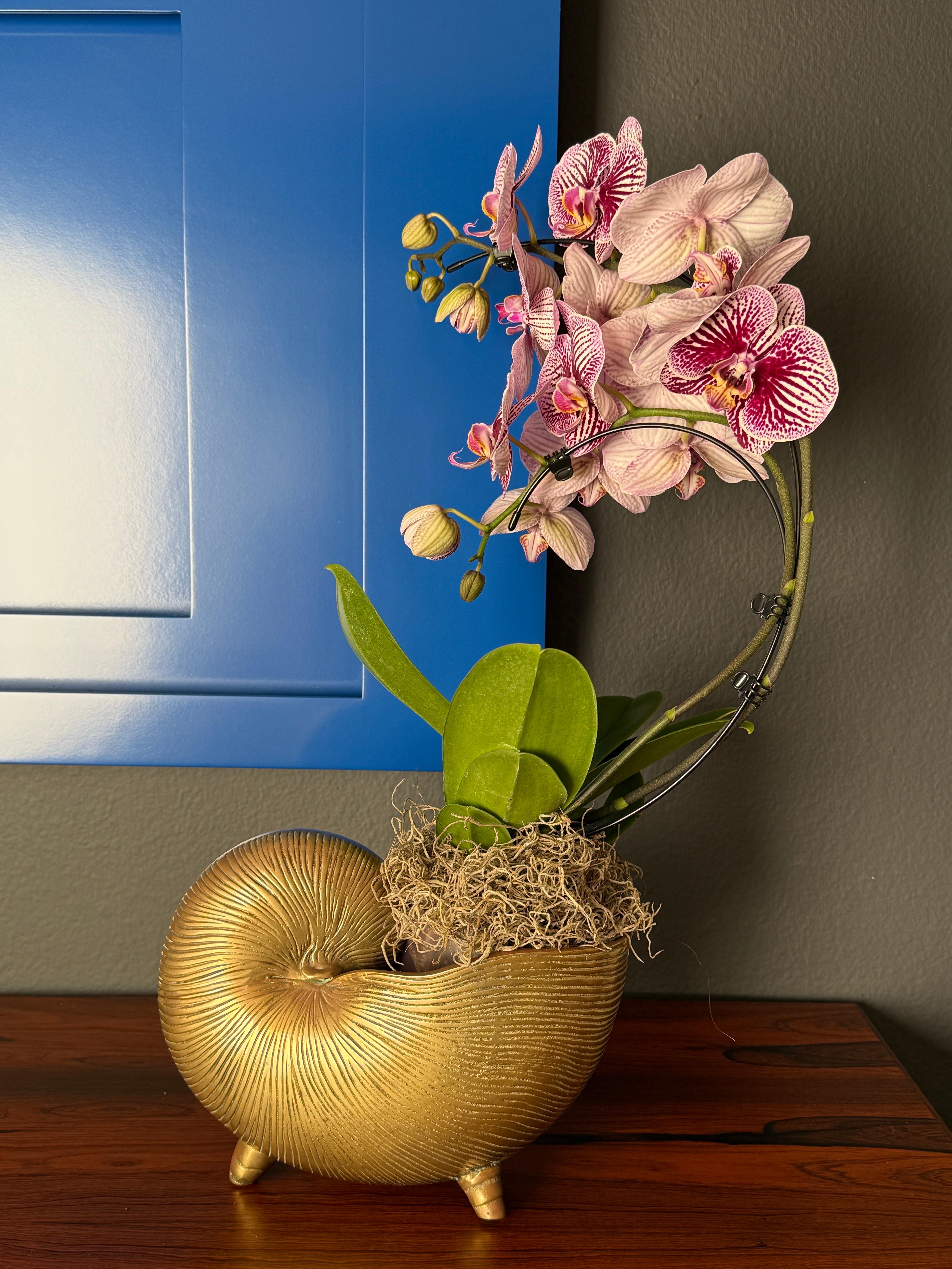 Brass Shell Conch Planter For Sale 8