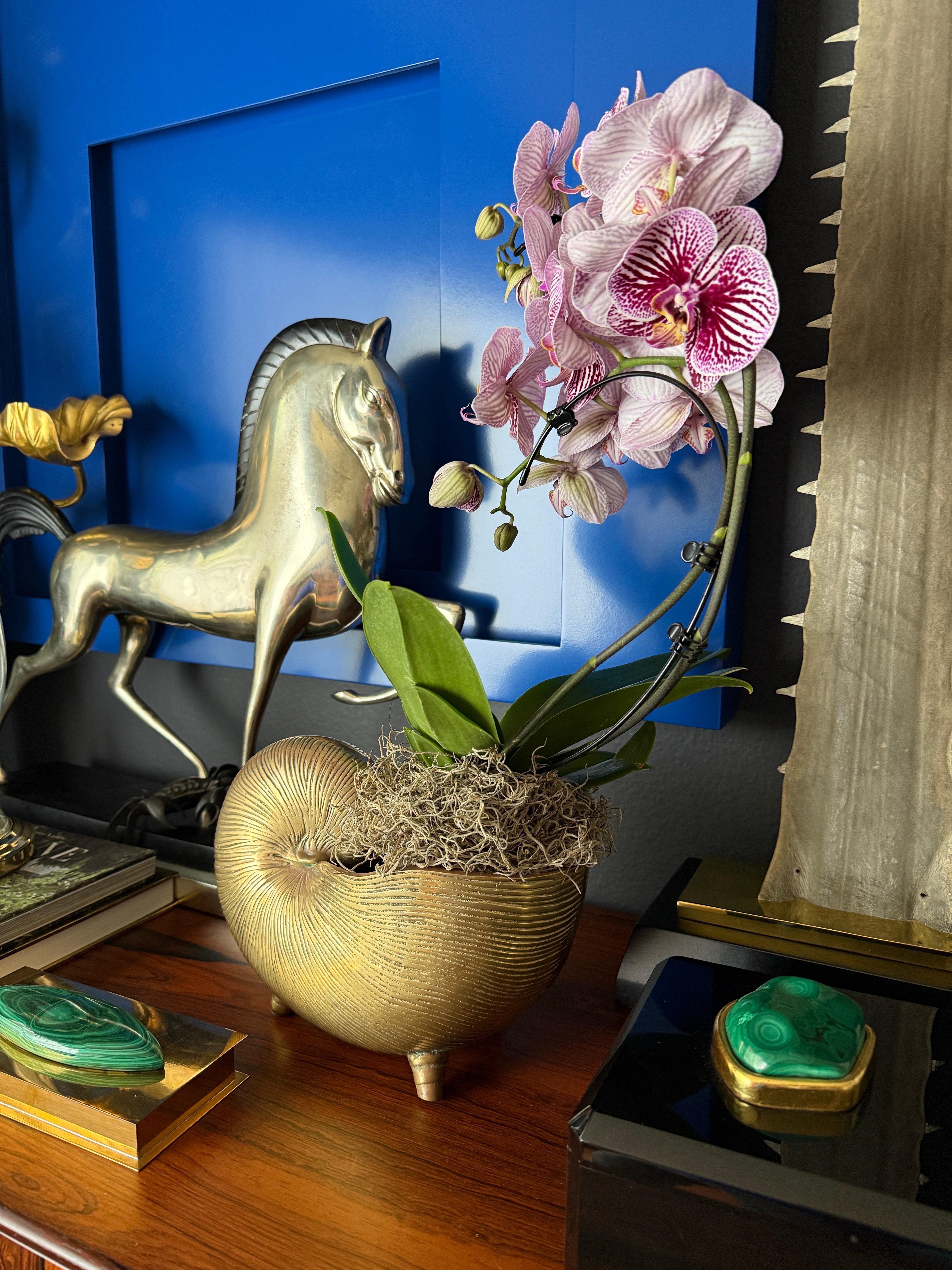 Brass Shell Conch Planter For Sale 9