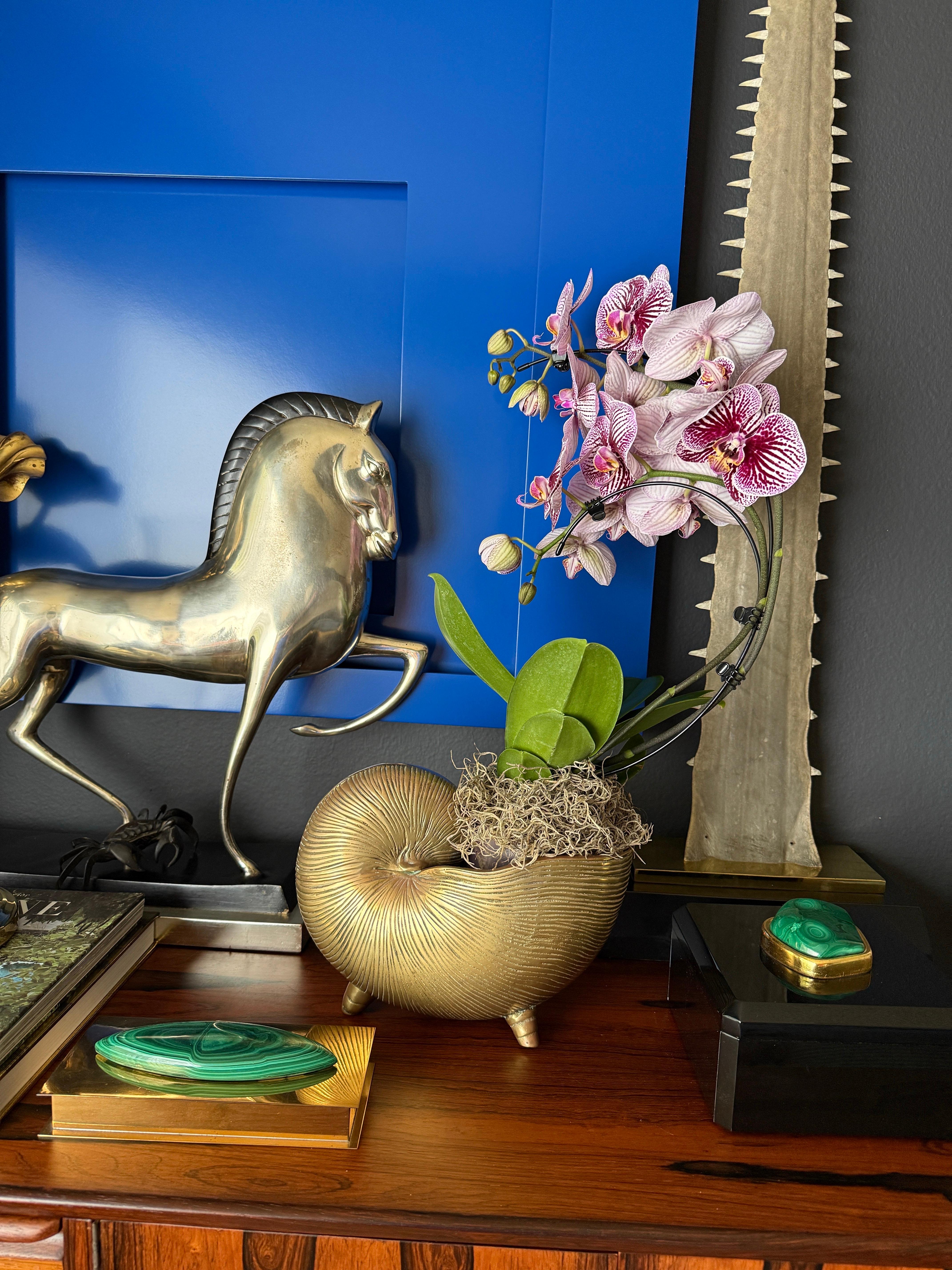 Brass Shell Conch Planter For Sale 10
