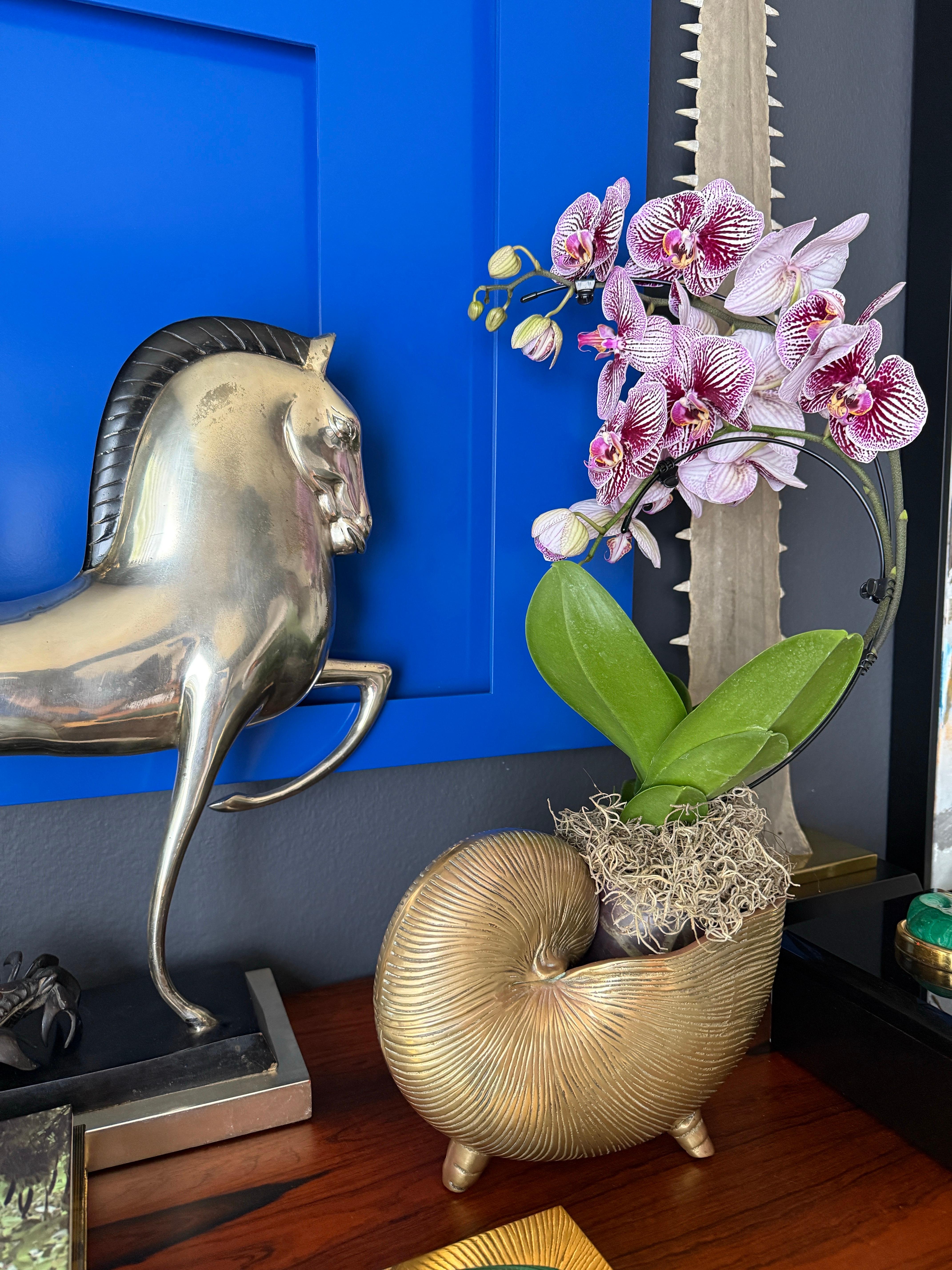 Brass Shell Conch Planter For Sale 11