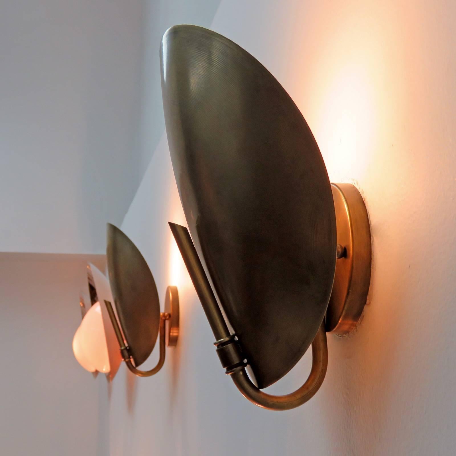 Brass Shell Wall Lights by Gallery L7