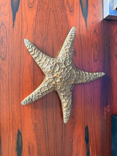 Brass Starfish Paperweight, Vintage Decor, Wall-Mountable, 1970s