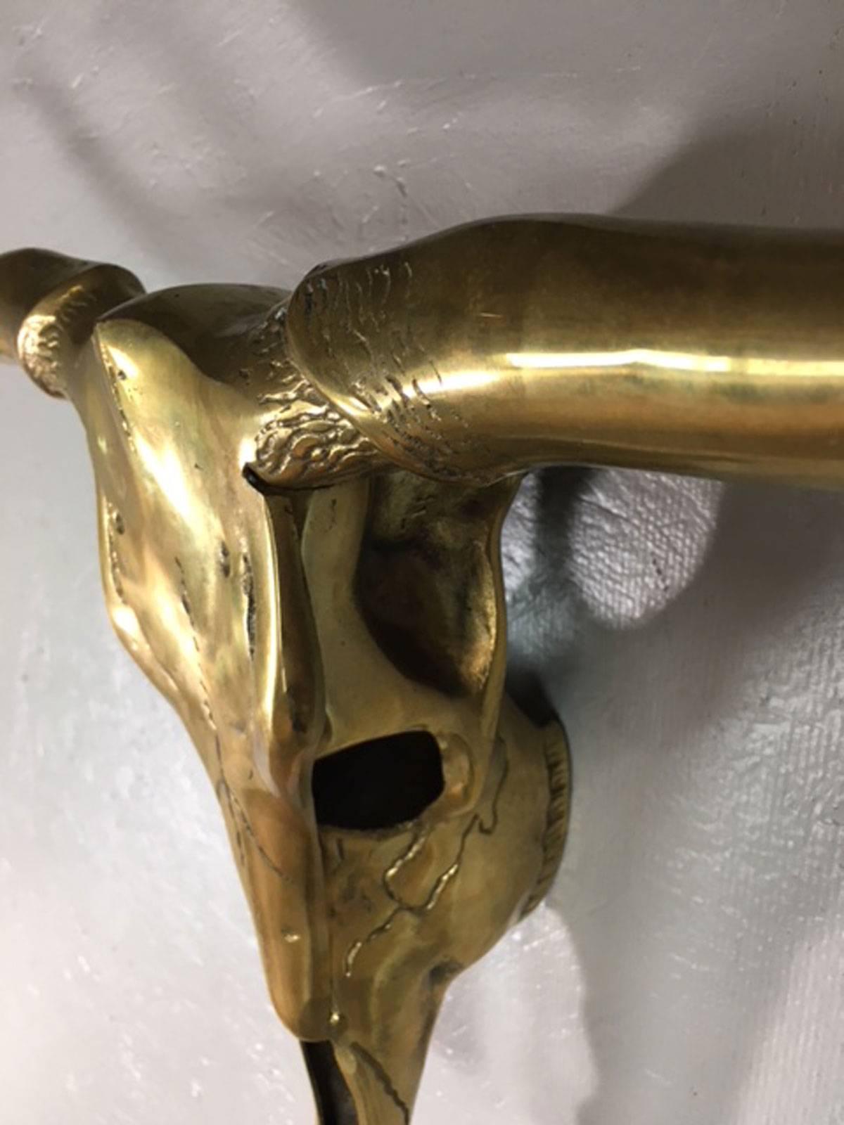 American Brass Steer Head Skull Wall Sculpture  For Sale