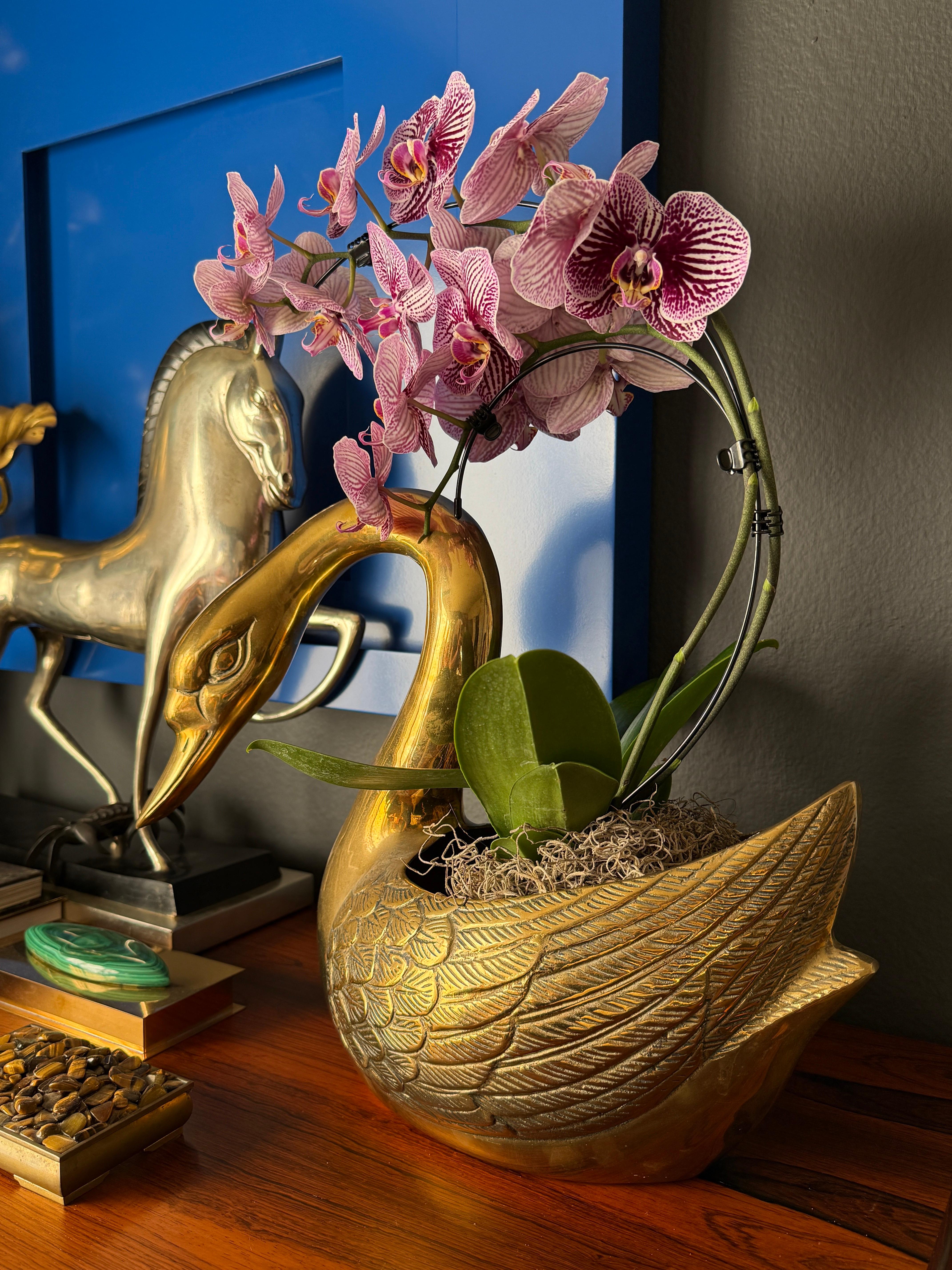 Brass Swan Planter In Good Condition For Sale In North Hollywood, CA