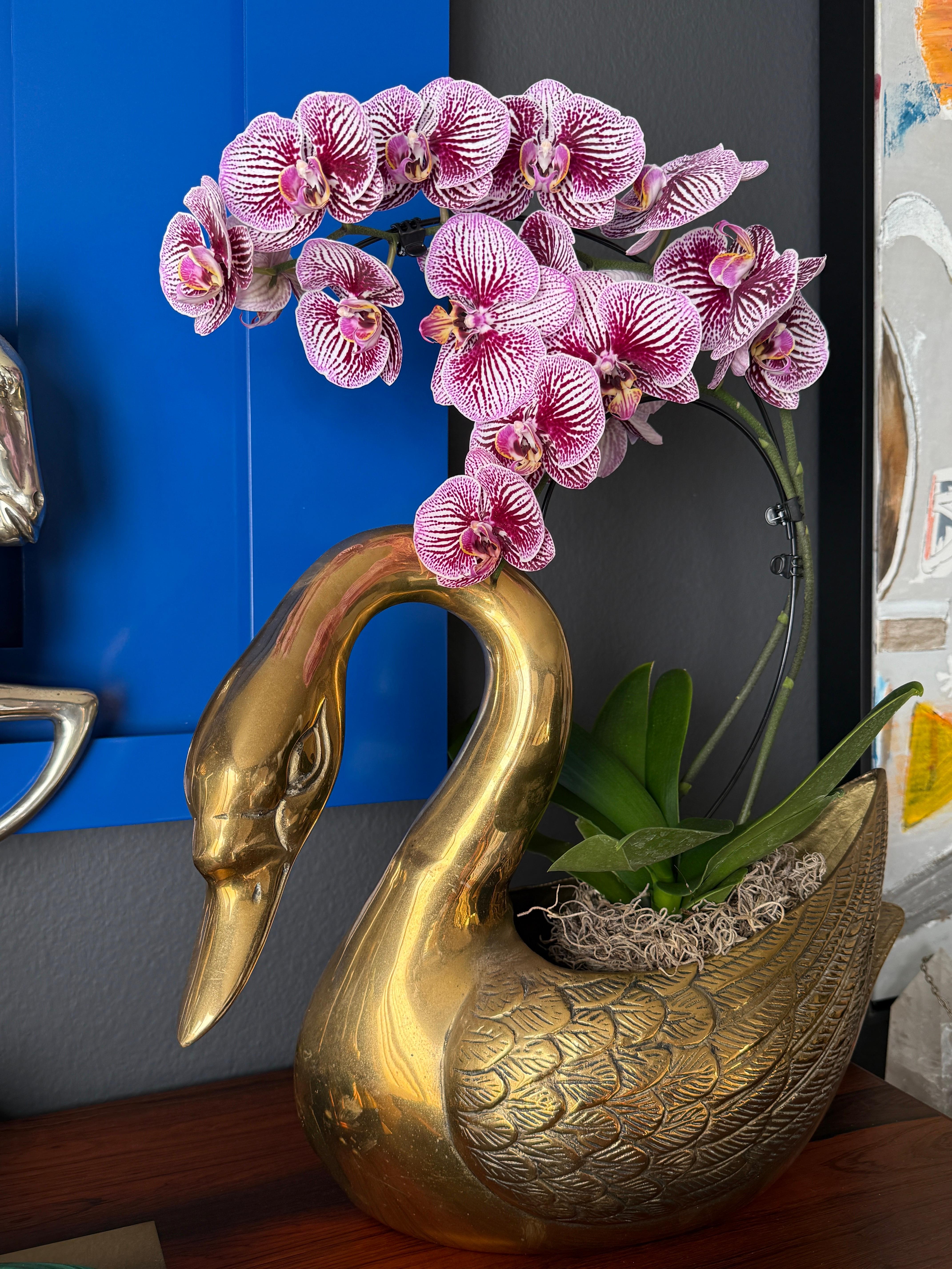 Brass Swan Planter For Sale 1