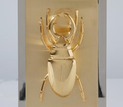 Tischlampe aus Messing mit vergoldetem Bronze-Skarabäus Frankreich um 1970