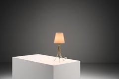 Brass Tripod Table Lamp, Europe Mid-20th Century