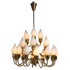 Brass Tulip Glass Chandelier England circa 1950