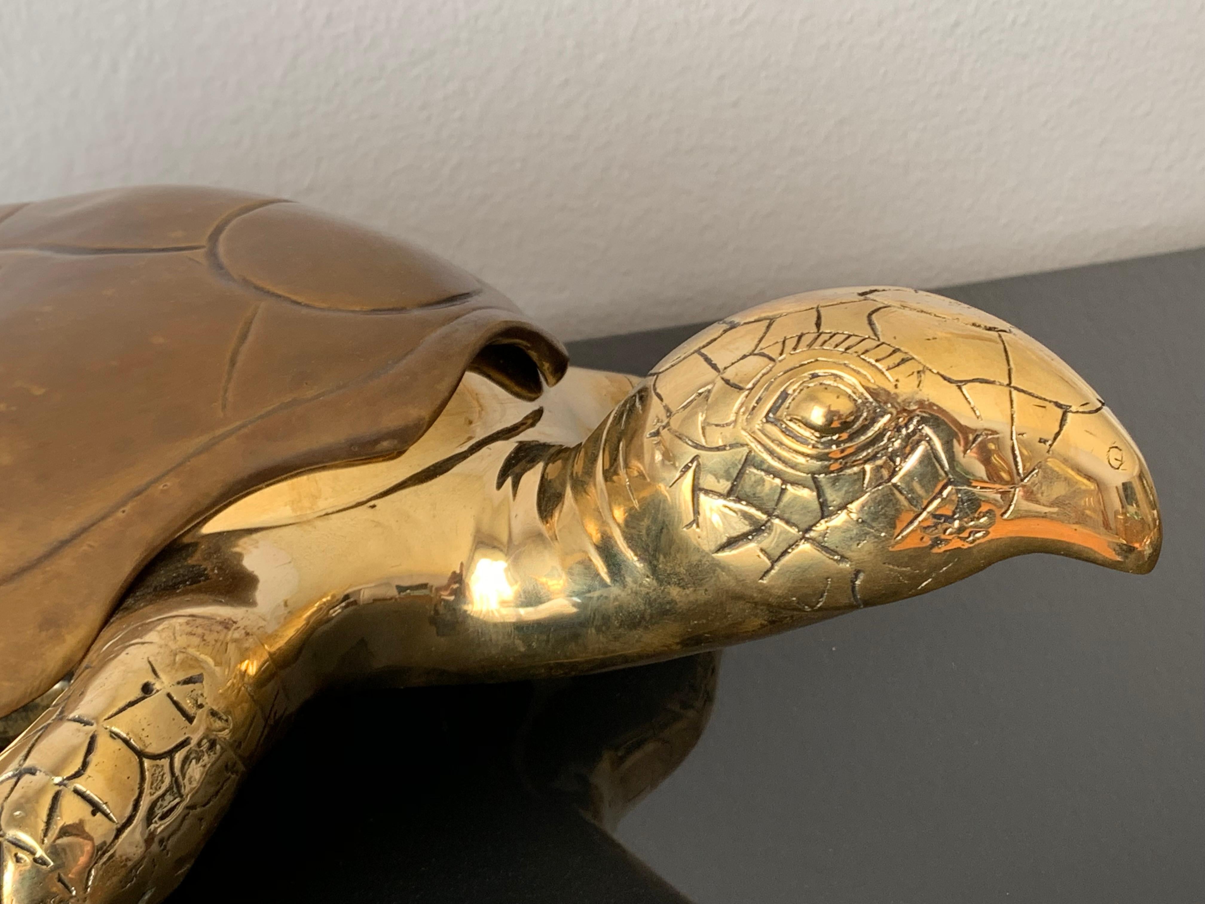 Brass Turtle Sculpture Jewelry Box 4