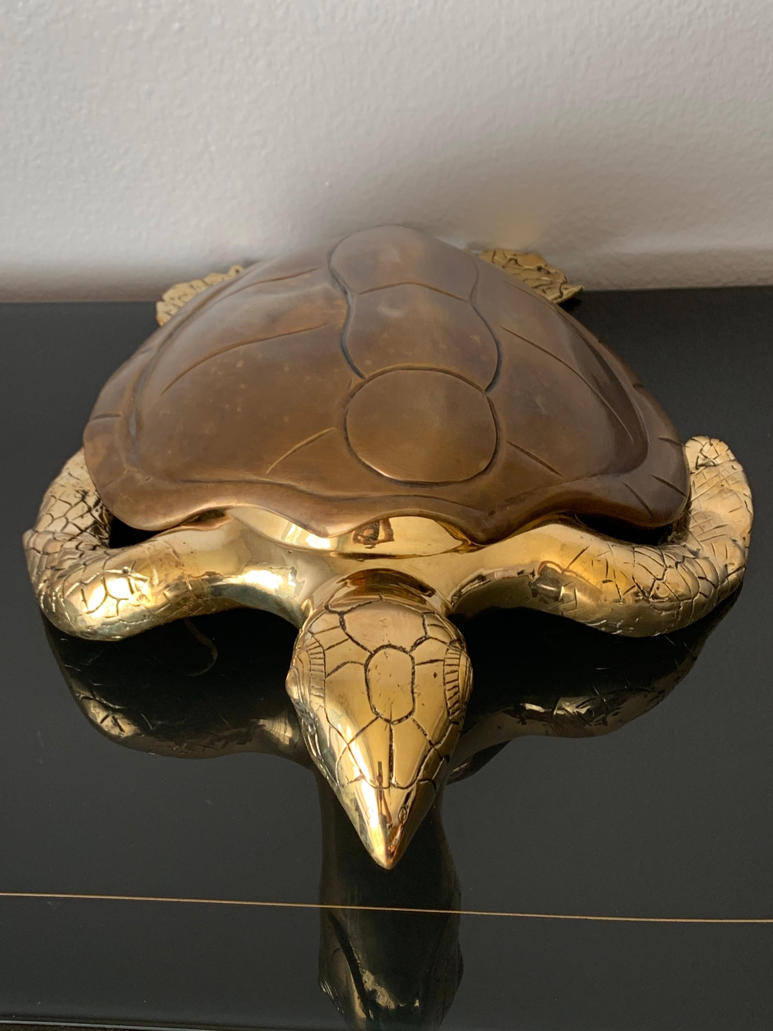 American Brass Turtle Sculpture Jewelry Box