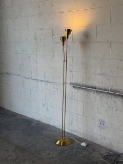 Brass Two-Light Gooseneck Standing Floor Lamp Mid-Century Modern 1960s