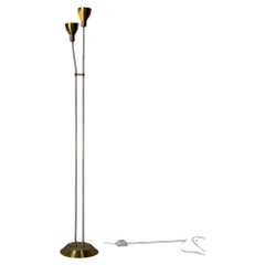 Brass Two-Light Gooseneck Standing Floor Lamp Mid-Century Modern 1960s