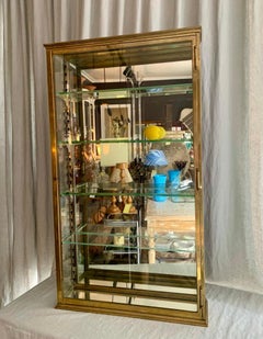 Brass Wall Vitrine Display Cabinet