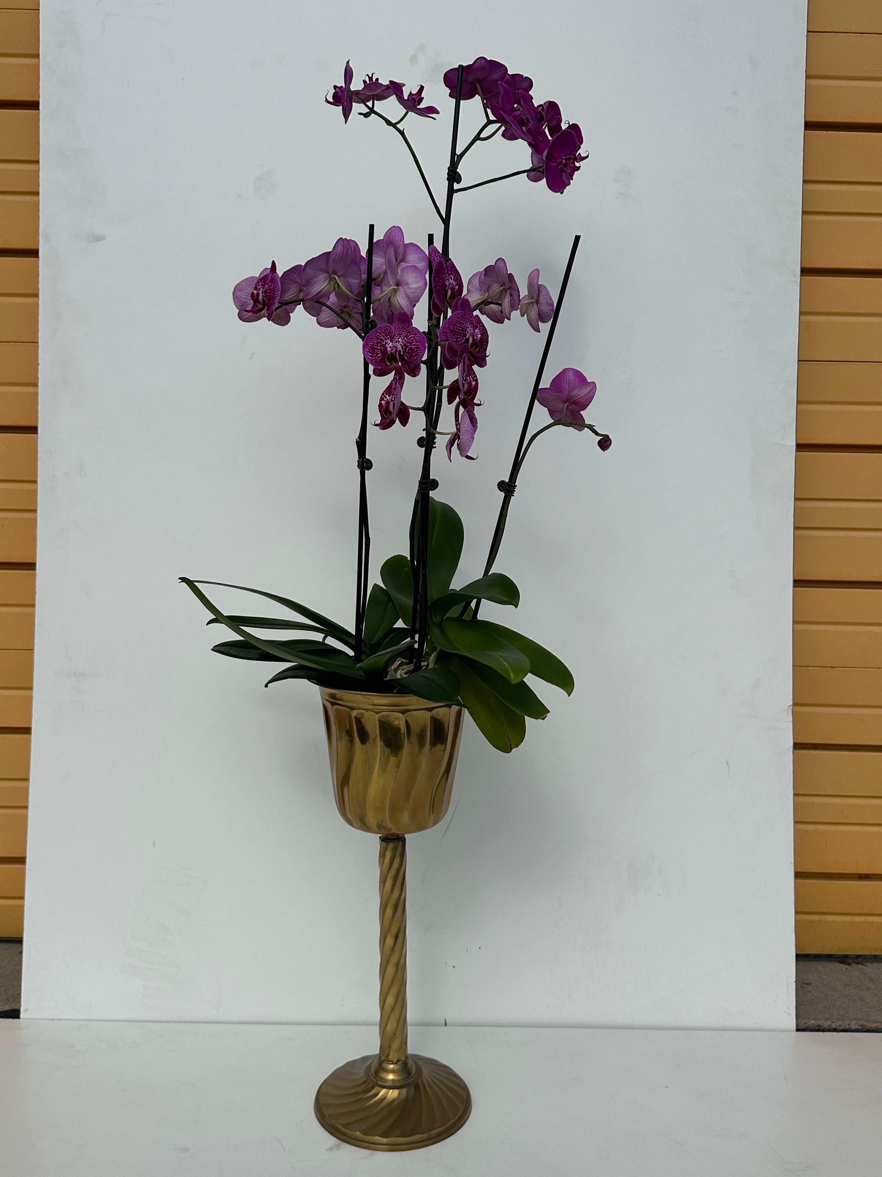 Enfriador de vino o jardinera de latón en venta 5