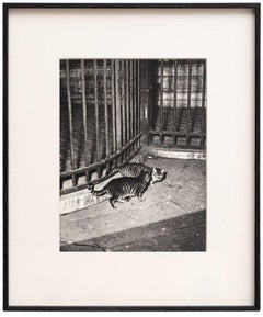 Nach Brassaï, Schwarz-Weiß, 1930er Jahre, fotografischer Heliogravur-Druck, gerahmt