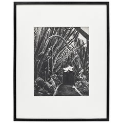 Mid-Century Modern Photography