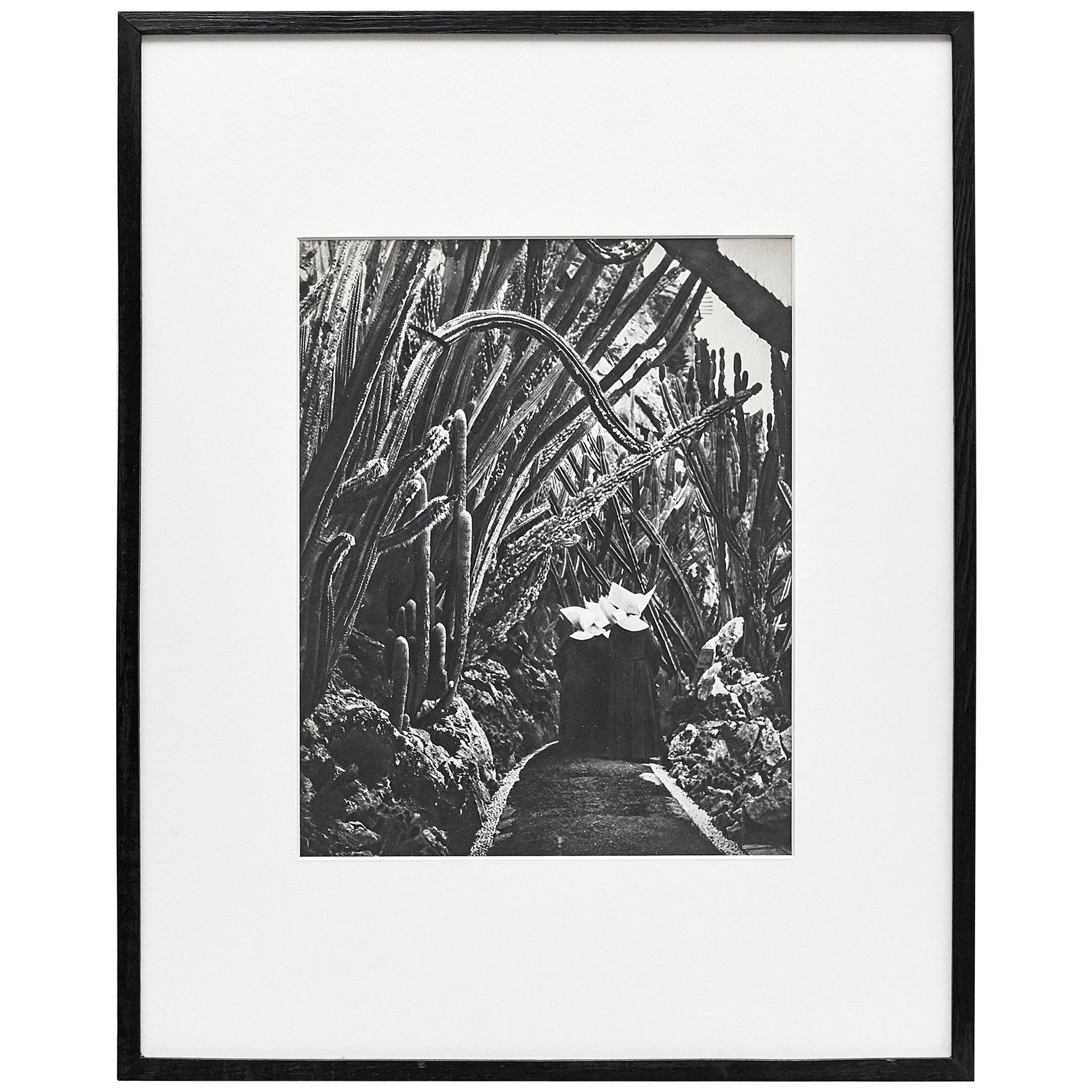 Brassaï, Black and White Photogravure, 1979