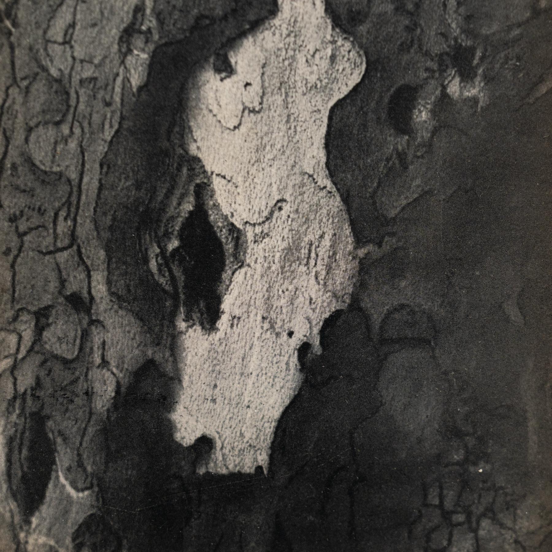 Fotografia eliografica incorniciata di Brassai (1949) - Whiting in vendita 3