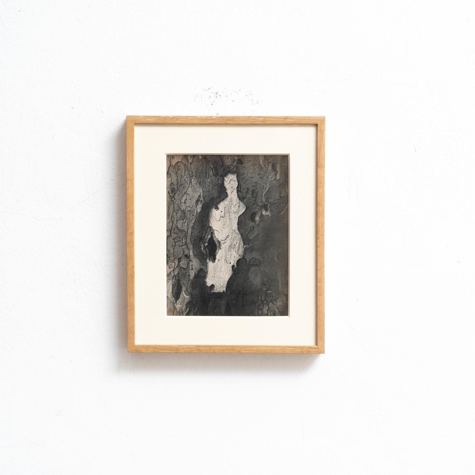 Mid-Century moderno Fotografia eliografica incorniciata di Brassai (1949) - Whiting in vendita