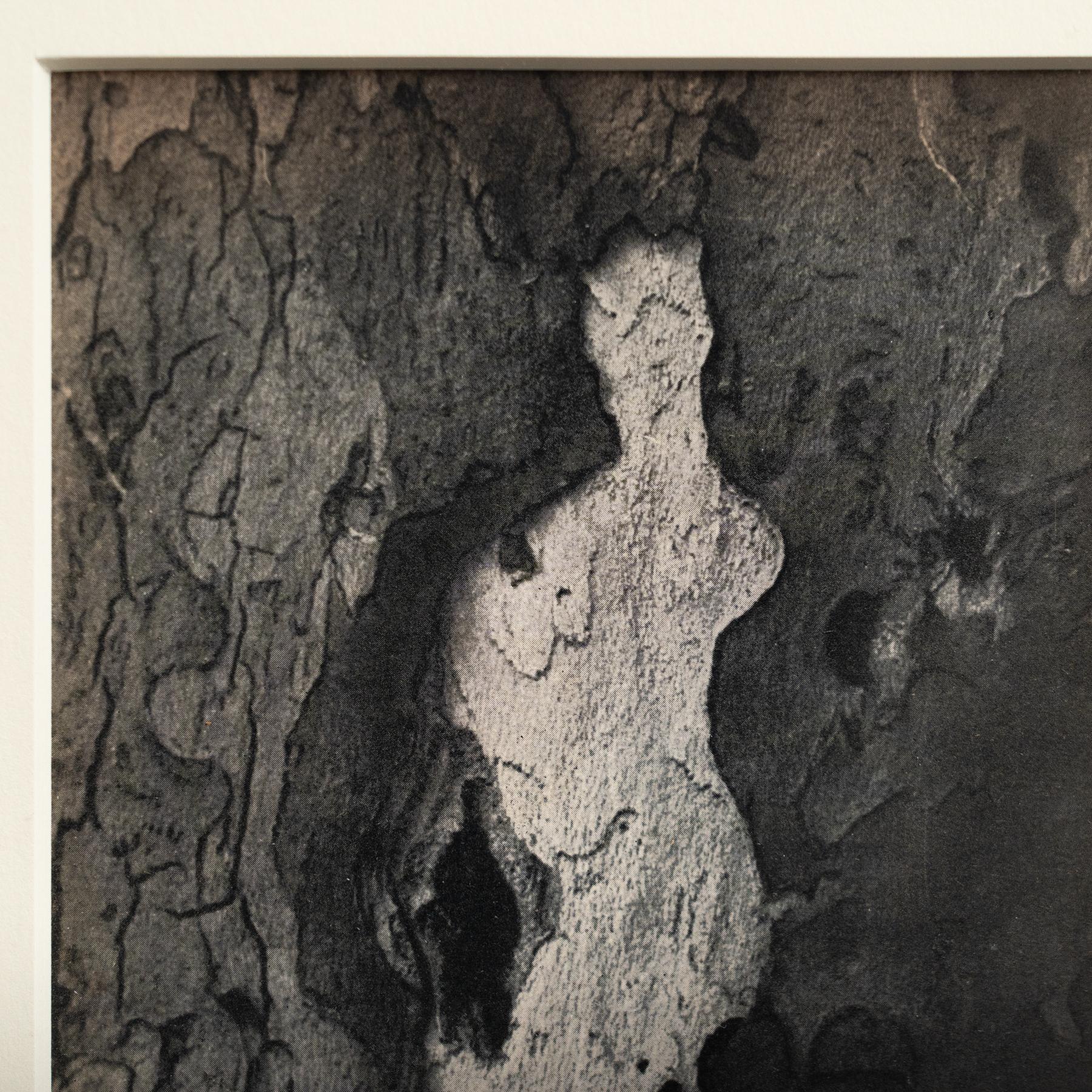 Fotografia eliografica incorniciata di Brassai (1949) - Whiting in vendita 2