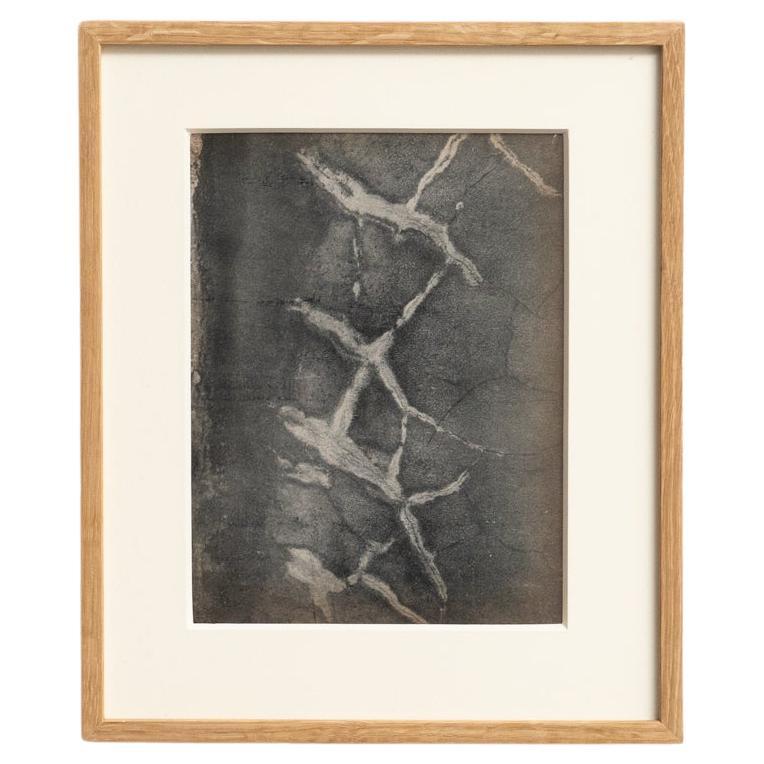 Fotografia eliografica incorniciata di Brassai (1949) - Whiting