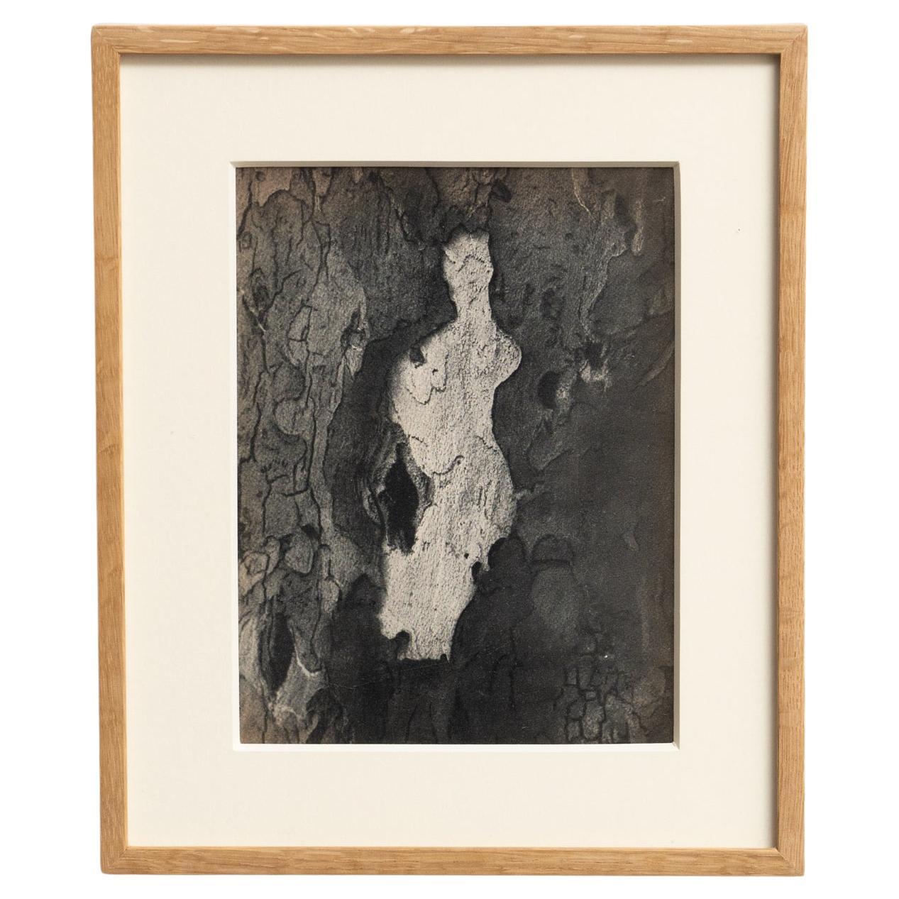 Fotografia eliografica incorniciata di Brassai (1949) - Whiting